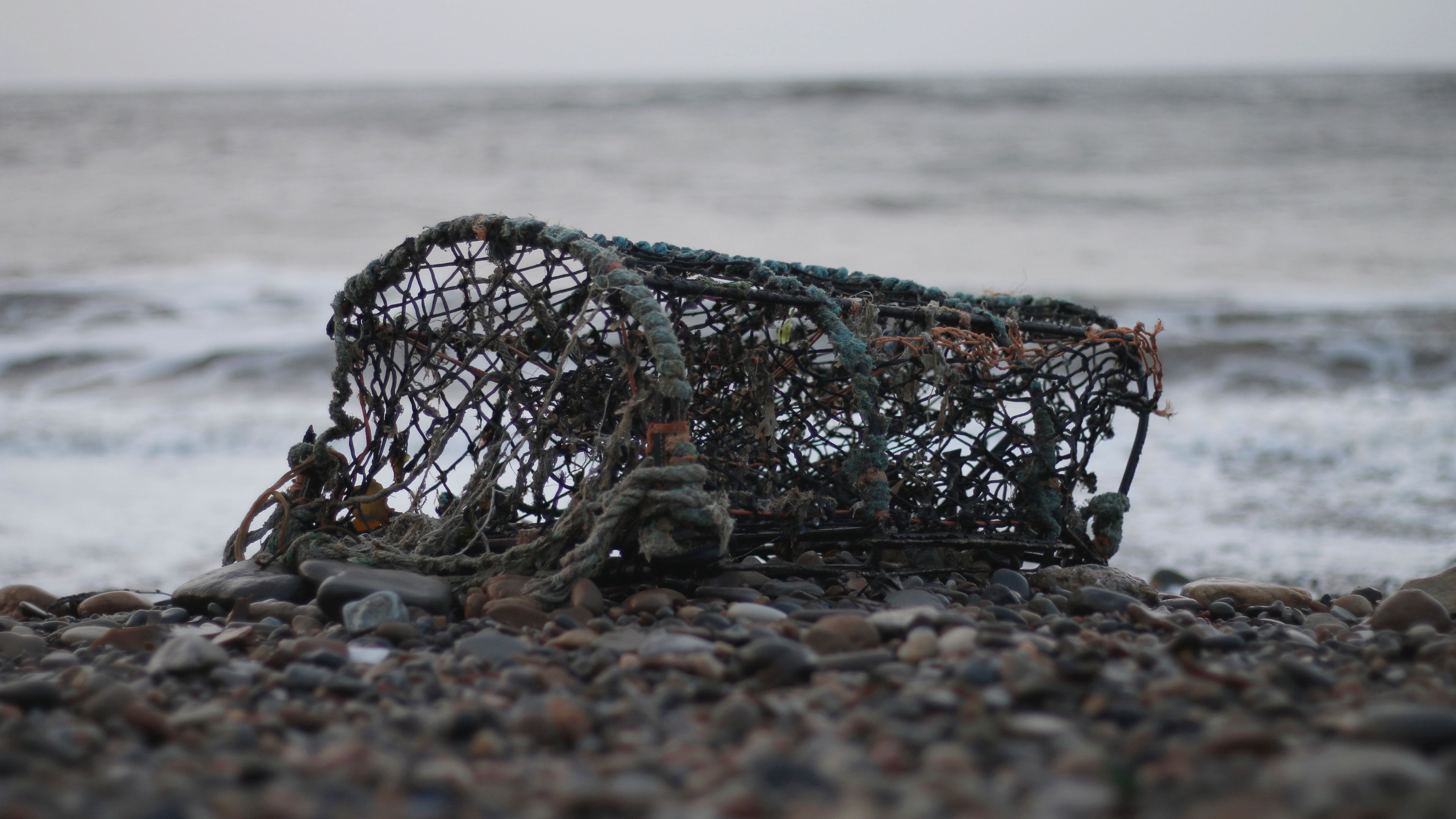 mesh, sea, shore, 4k, HD Wallpaper