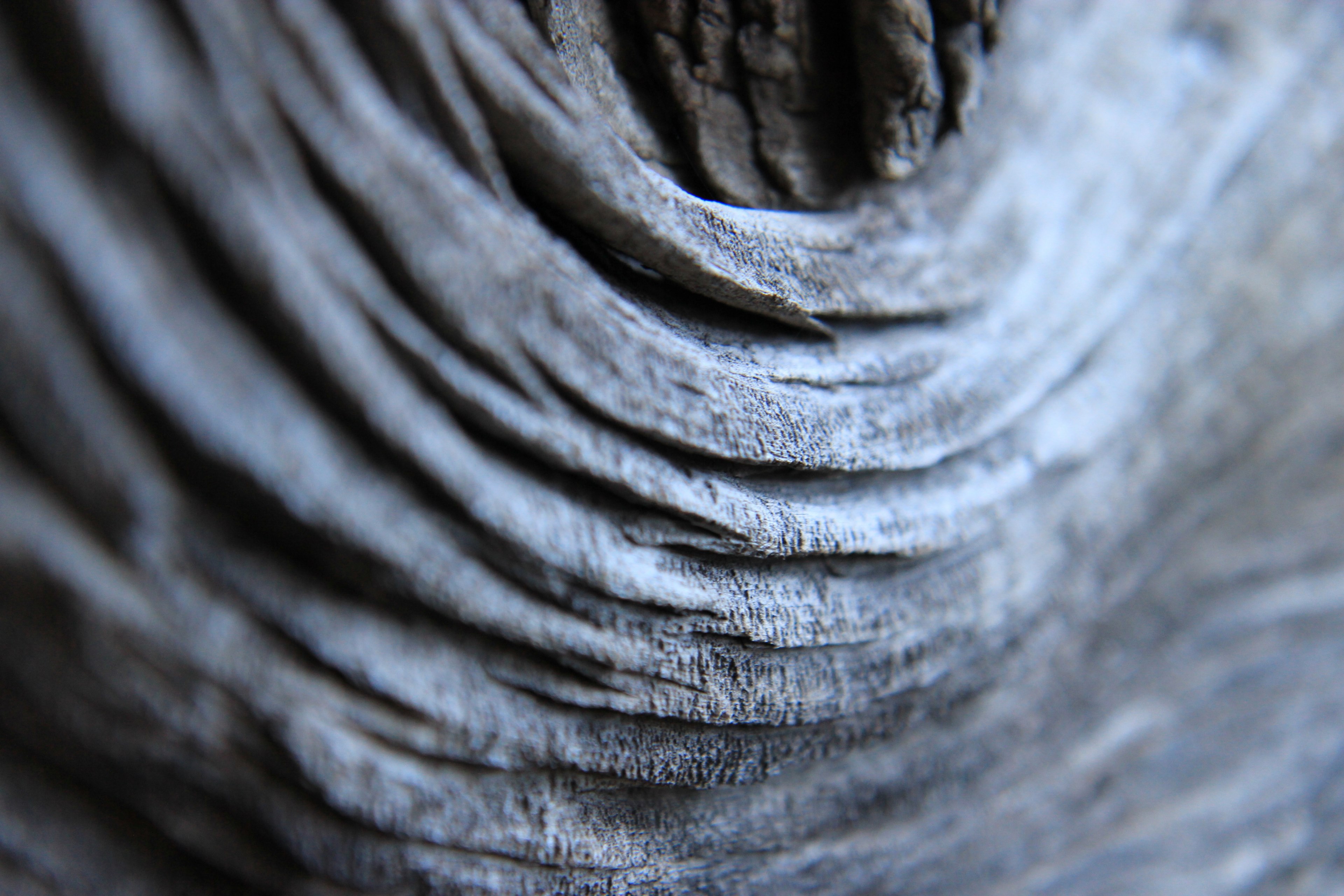 gray wooden log wood and tree 4k, HD Wallpaper
