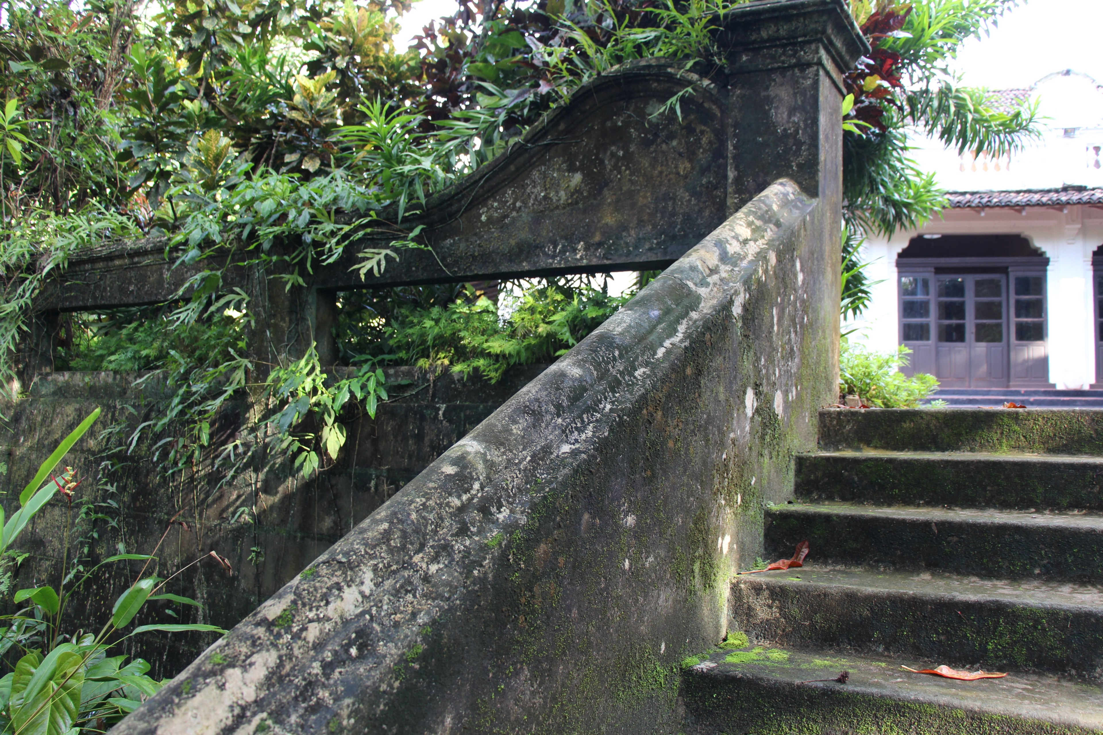 jungle reclaims the historic sirisewana villa 4k, HD Wallpaper