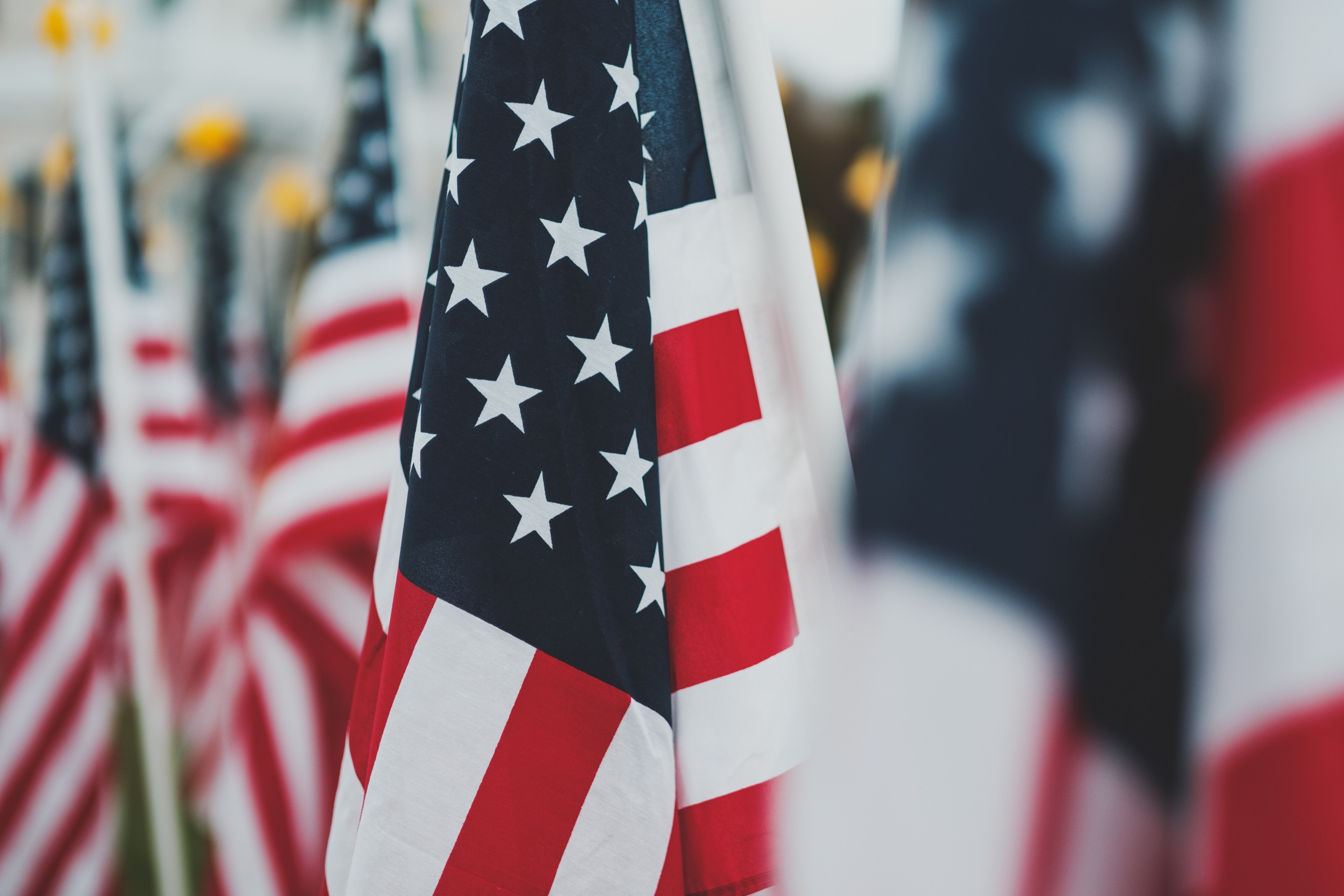 several american flags in the ground, american flags 4k, HD Wallpaper
