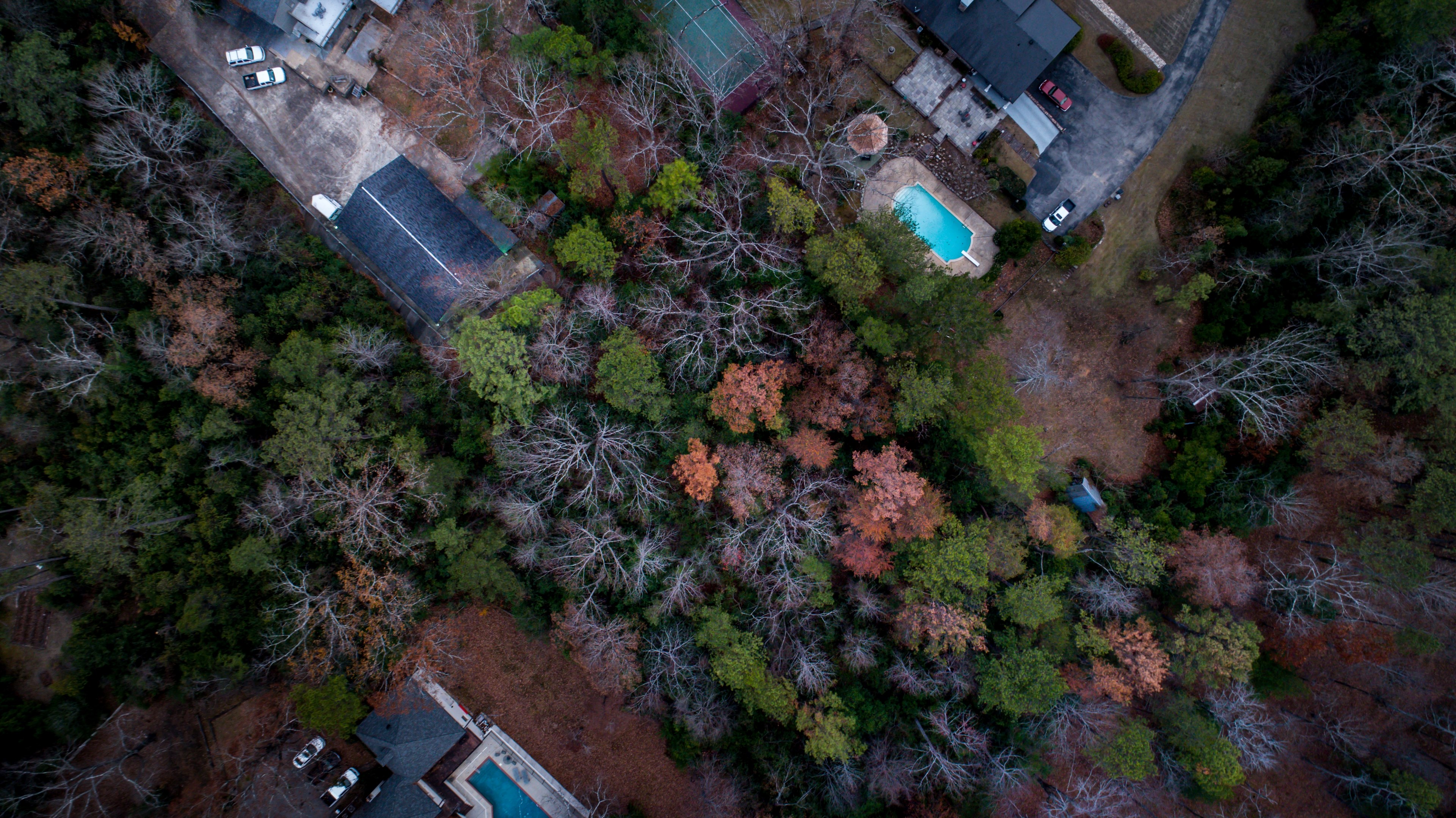a drone shot of houses with pools at the edge of a forest in birmingham alabama, suburban houses near a forest 4k, HD Wallpaper