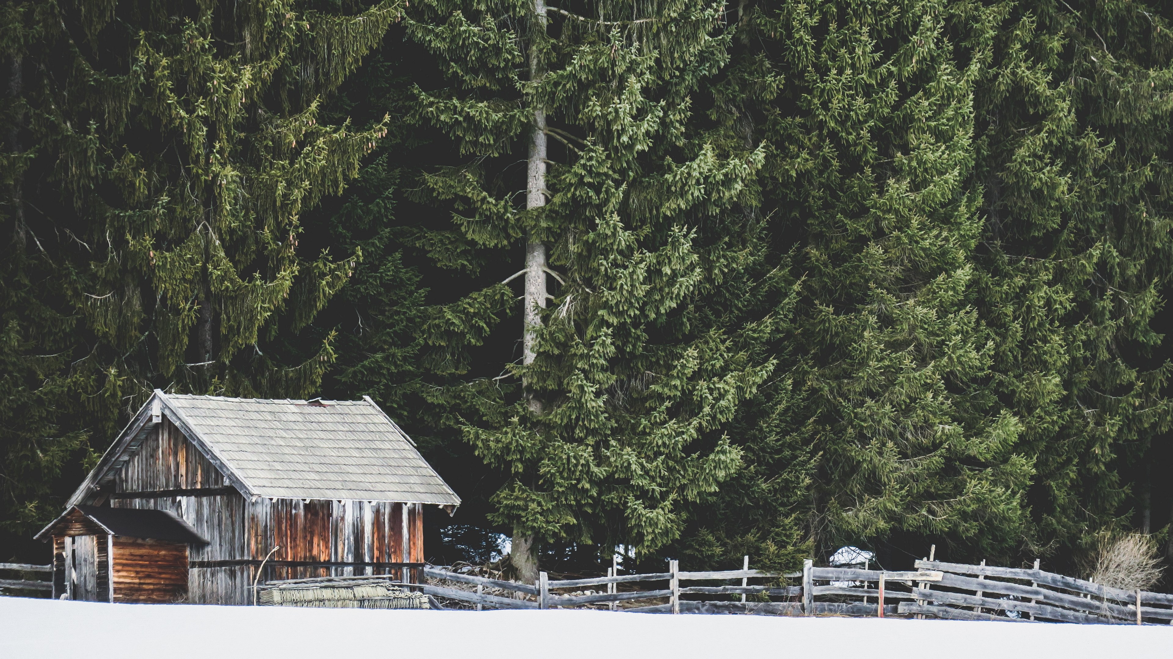 small wooden house covered in ice surrounded by green trees in leutasch, day 5 unsplashdaily 4k, HD Wallpaper