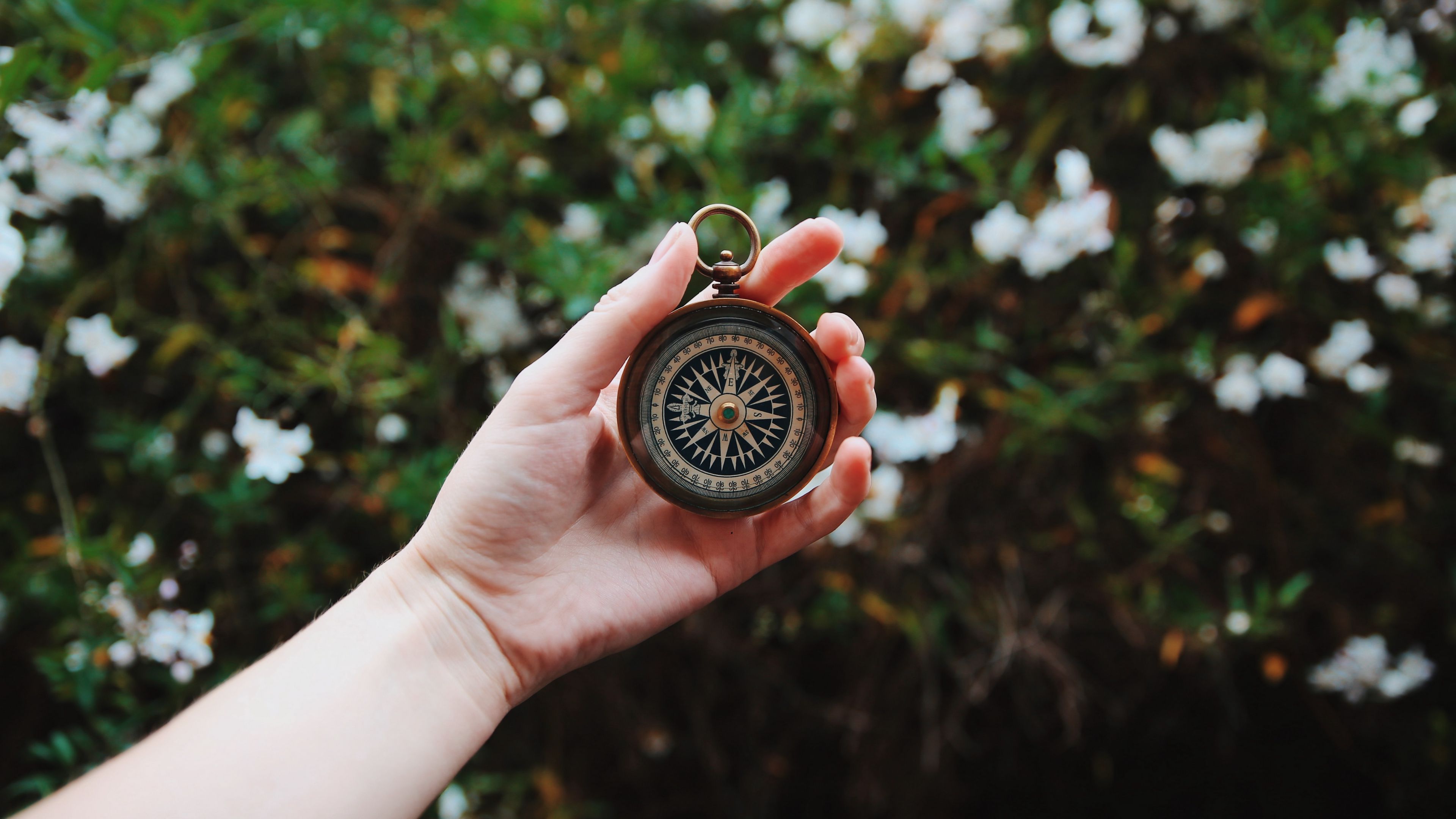 compass, hand, direction, branches, leaves, 4k, HD Wallpaper