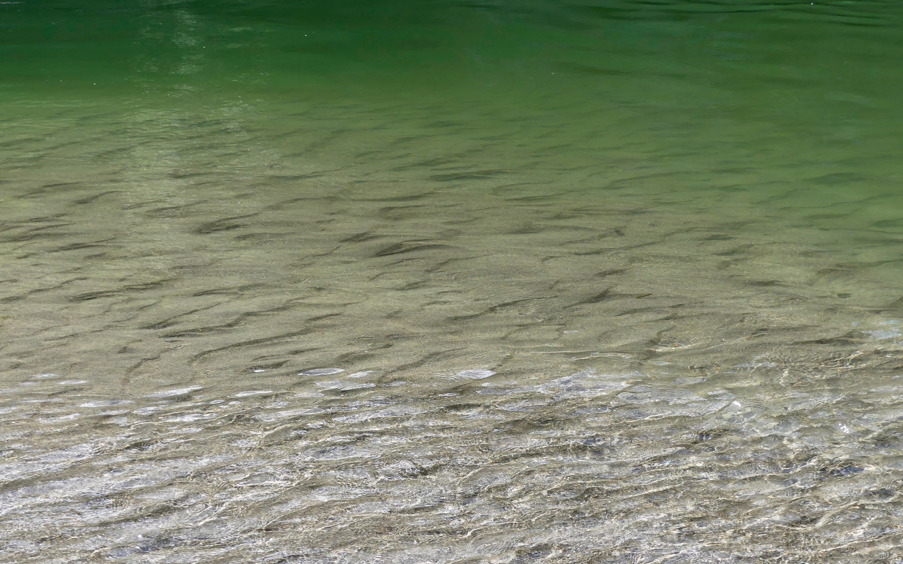 fading to green 4k, HD Wallpaper