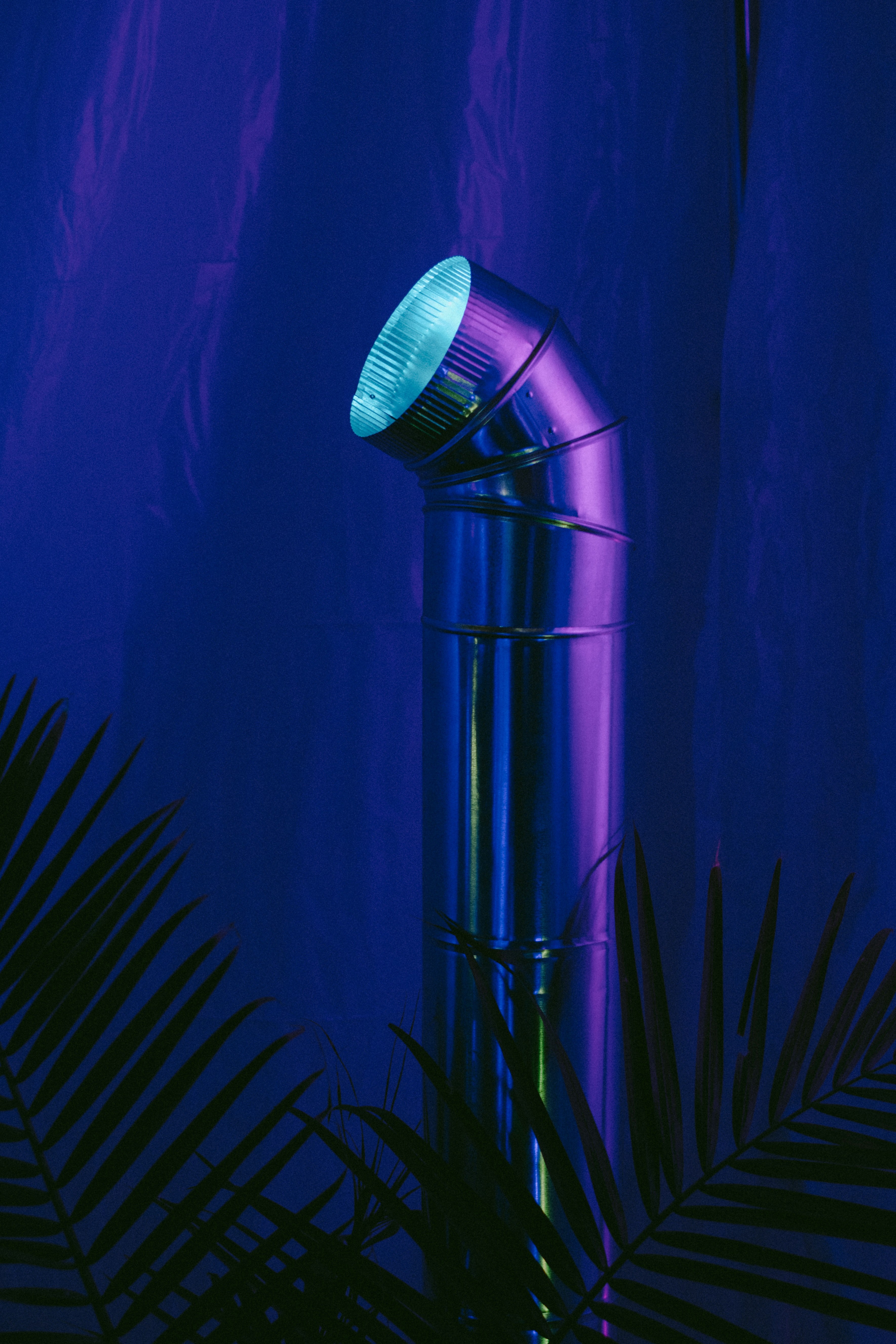 pipes purple plant and leaf hd, 4k, Phone HD Wallpaper