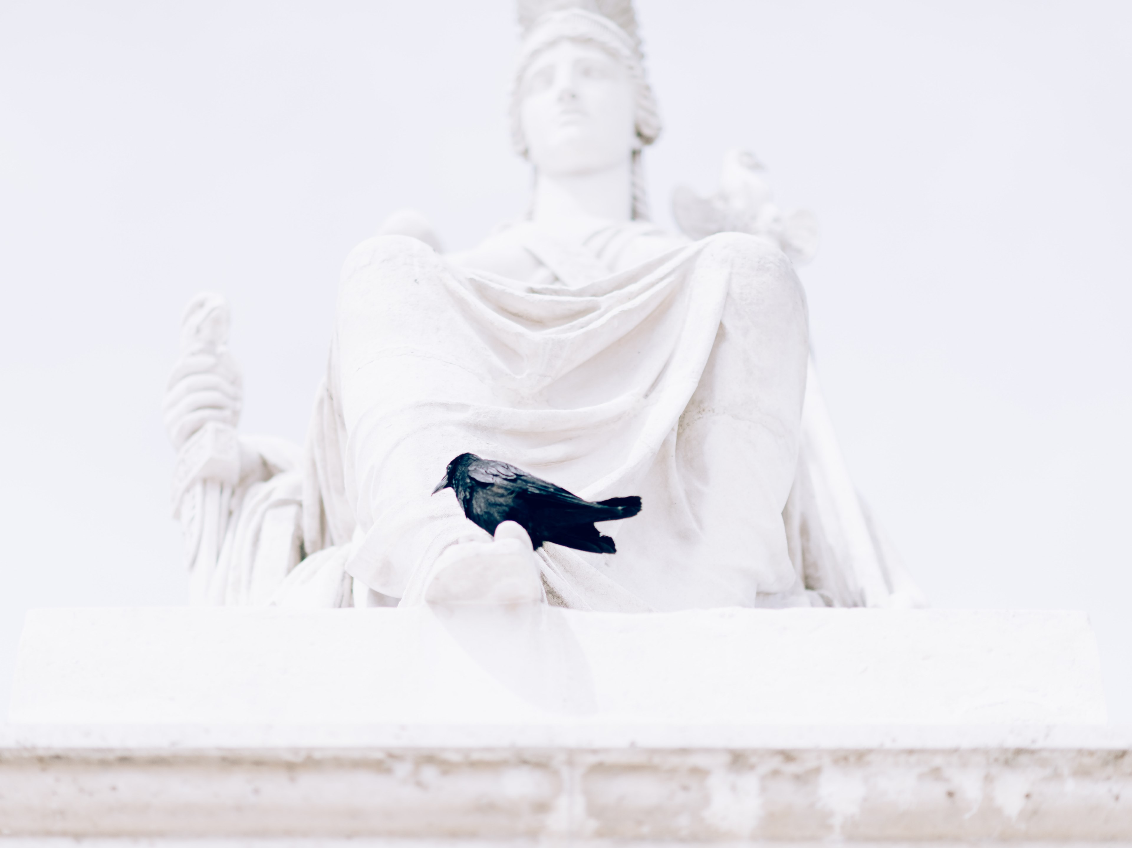 statue monument white and building 4k, HD Wallpaper