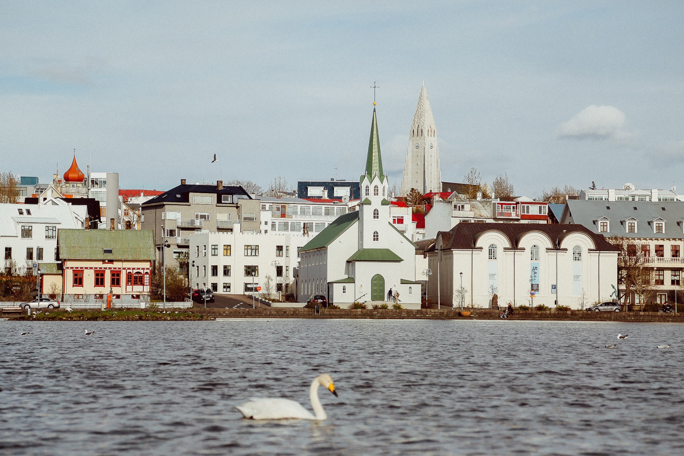 reykjavik swan lake and church 4k, HD Wallpaper