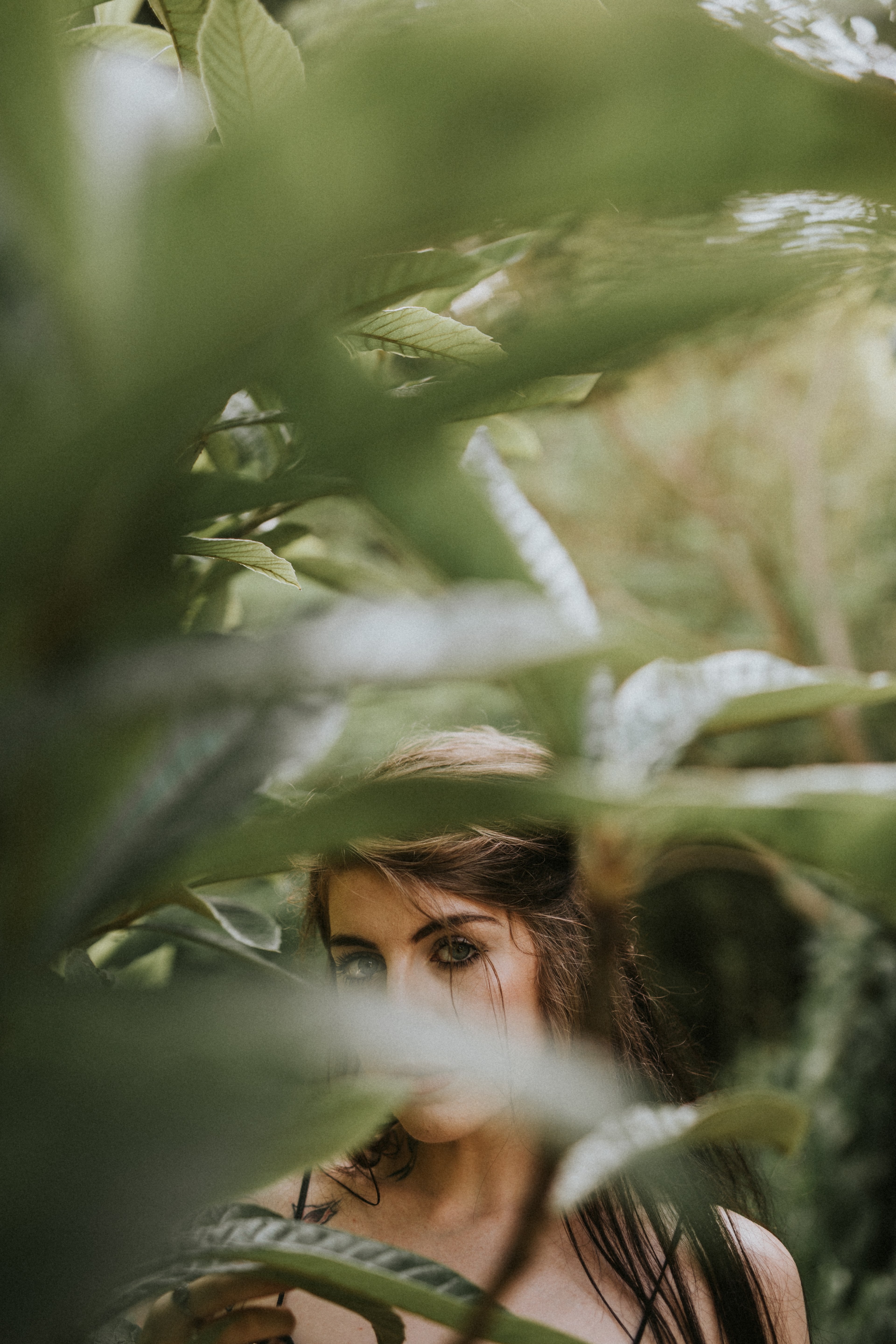 looking through foliage woman foliage and looking through hd, 4k, Phone HD Wallpaper