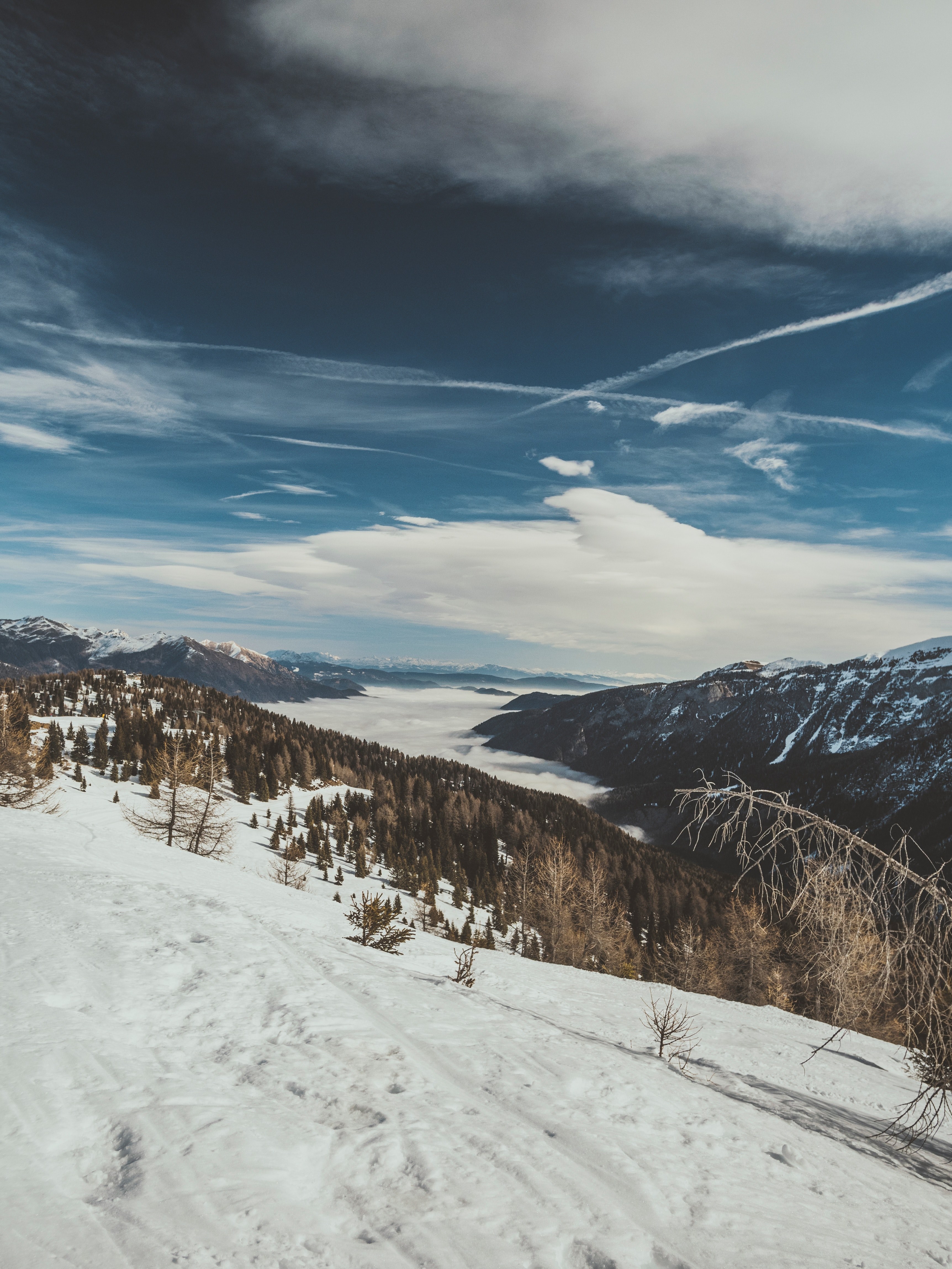 an evergreen forest on slight snow covered slopes in the dolomites, snowy forest in the dolomites 4k, Phone HD Wallpaper