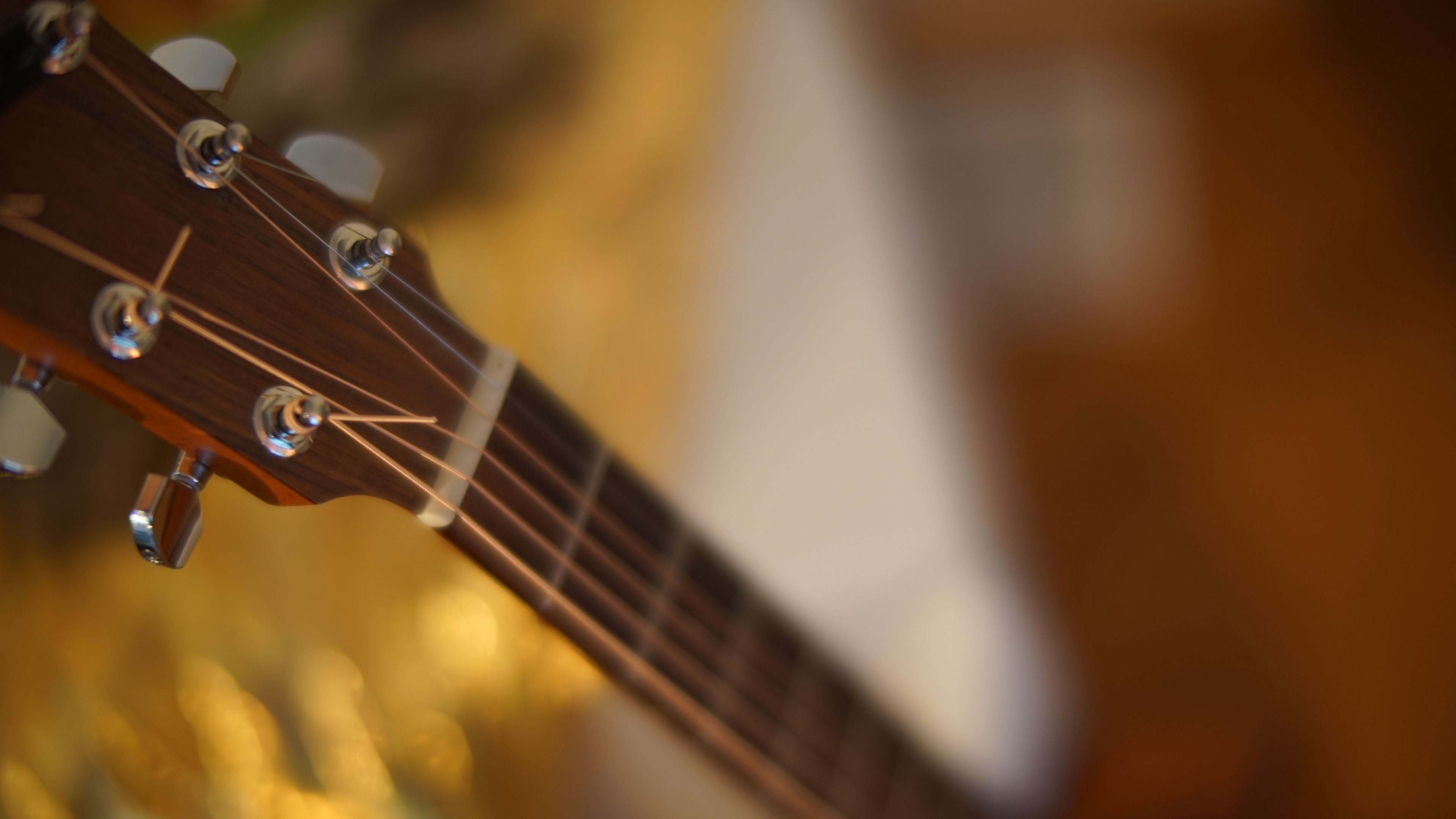 guitar, neck, strings, 4k, HD Wallpaper