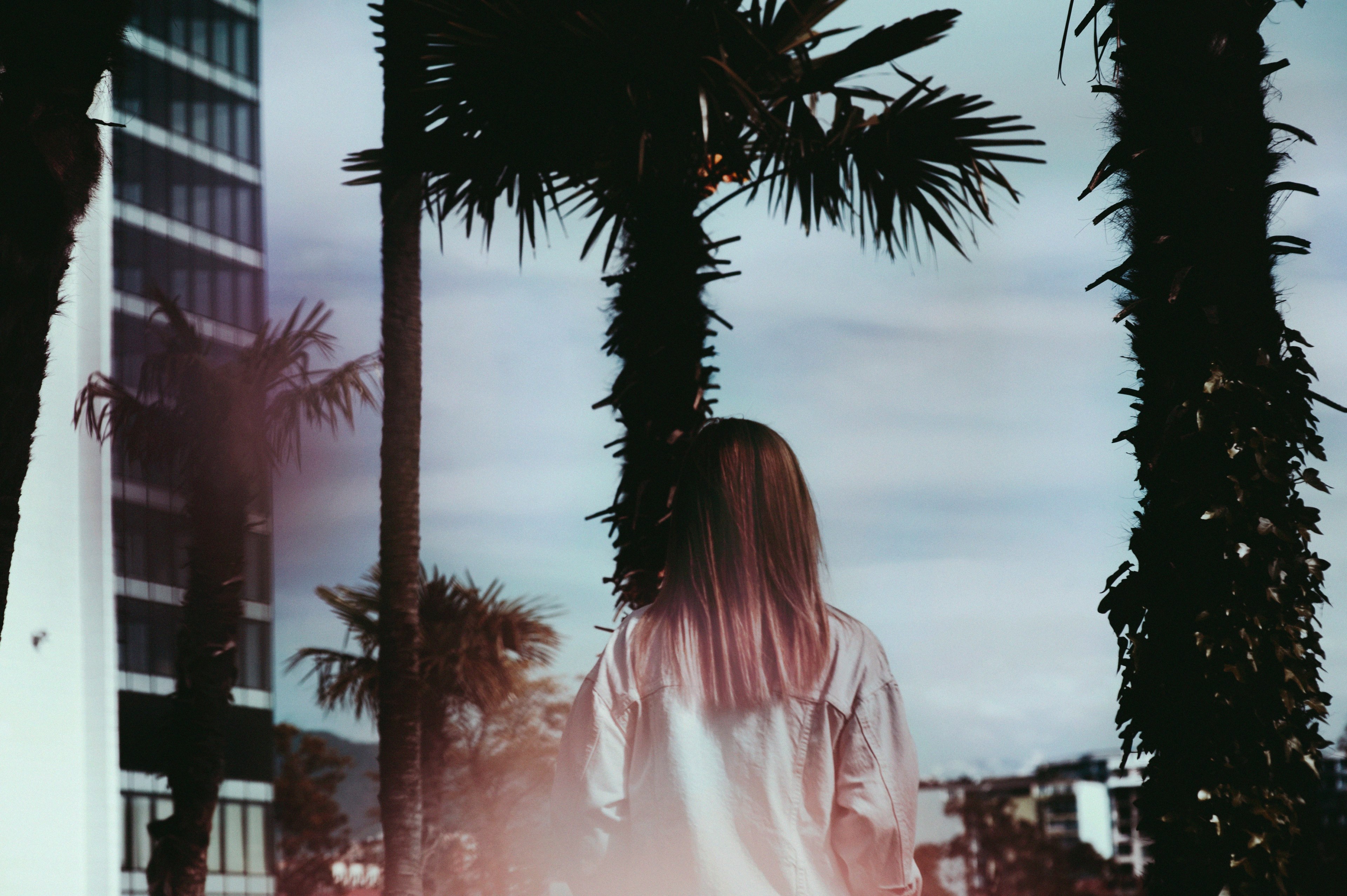 pink hair with palms 4k, HD Wallpaper