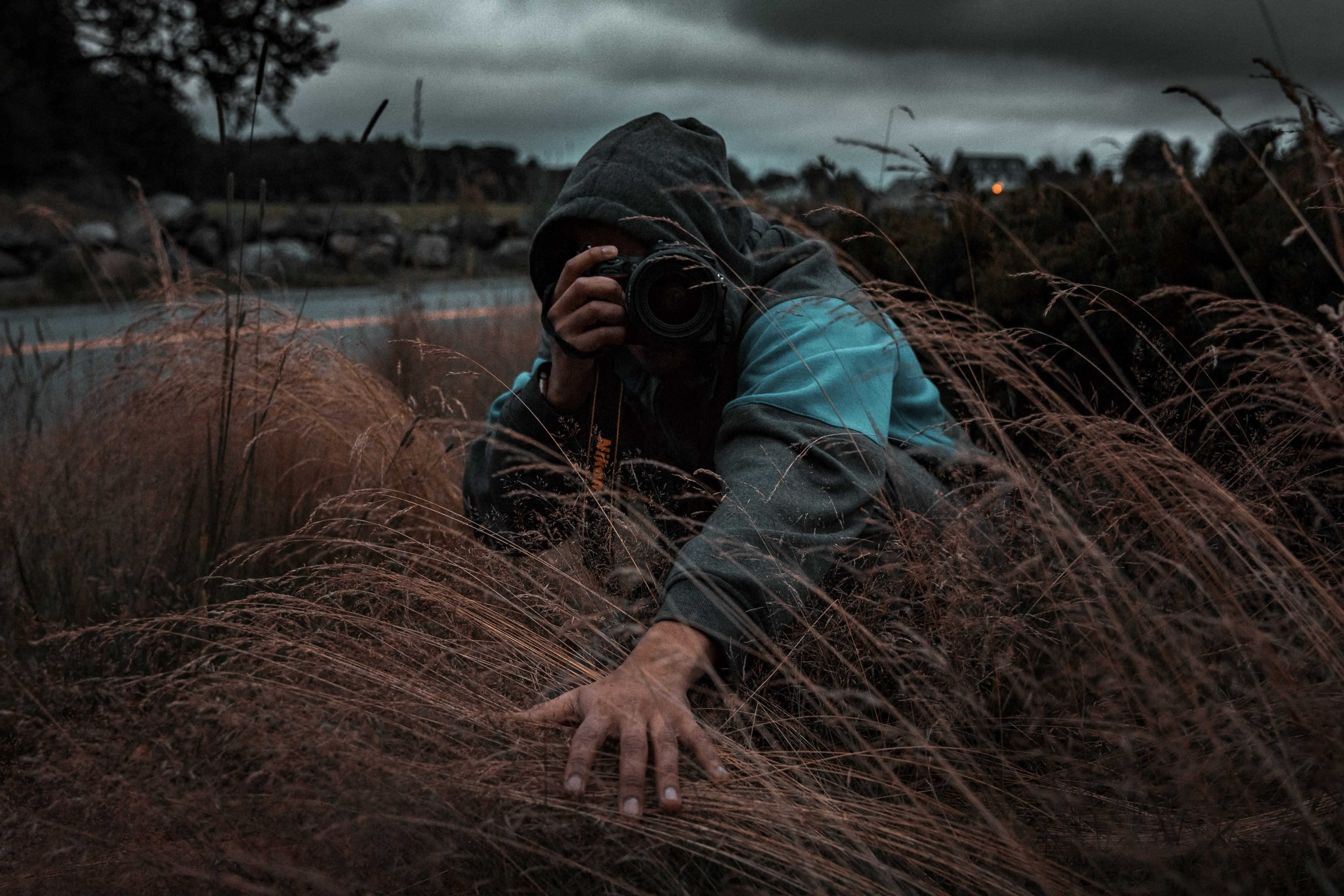 photographer crouching in tall grass and holding down plants to get a photo, tall grass 4k, HD Wallpaper
