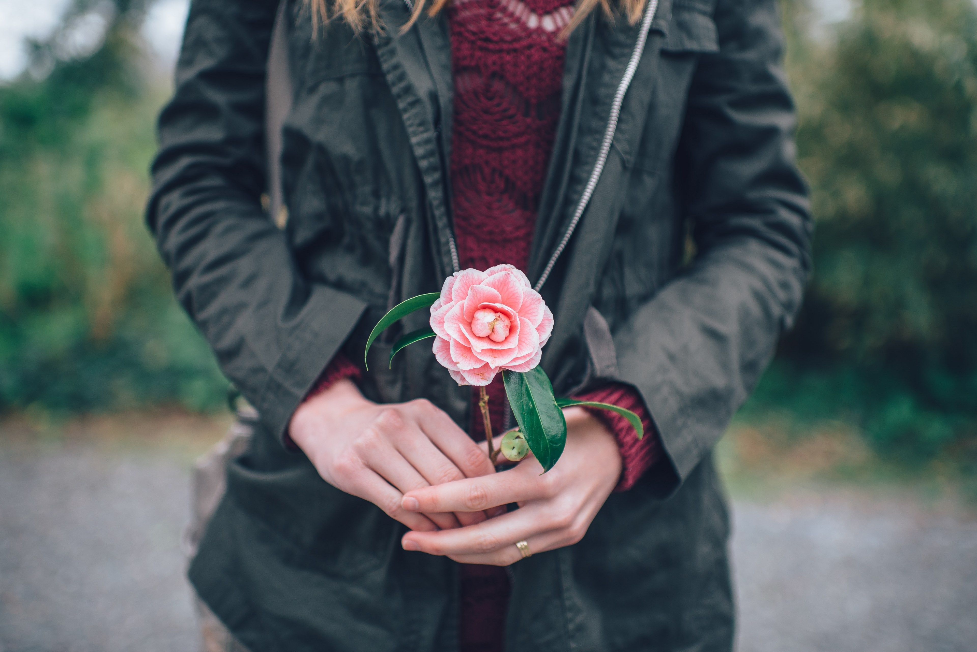a woman in a jacket holding a small pink peony, pink peony in a womans hands 4k, HD Wallpaper