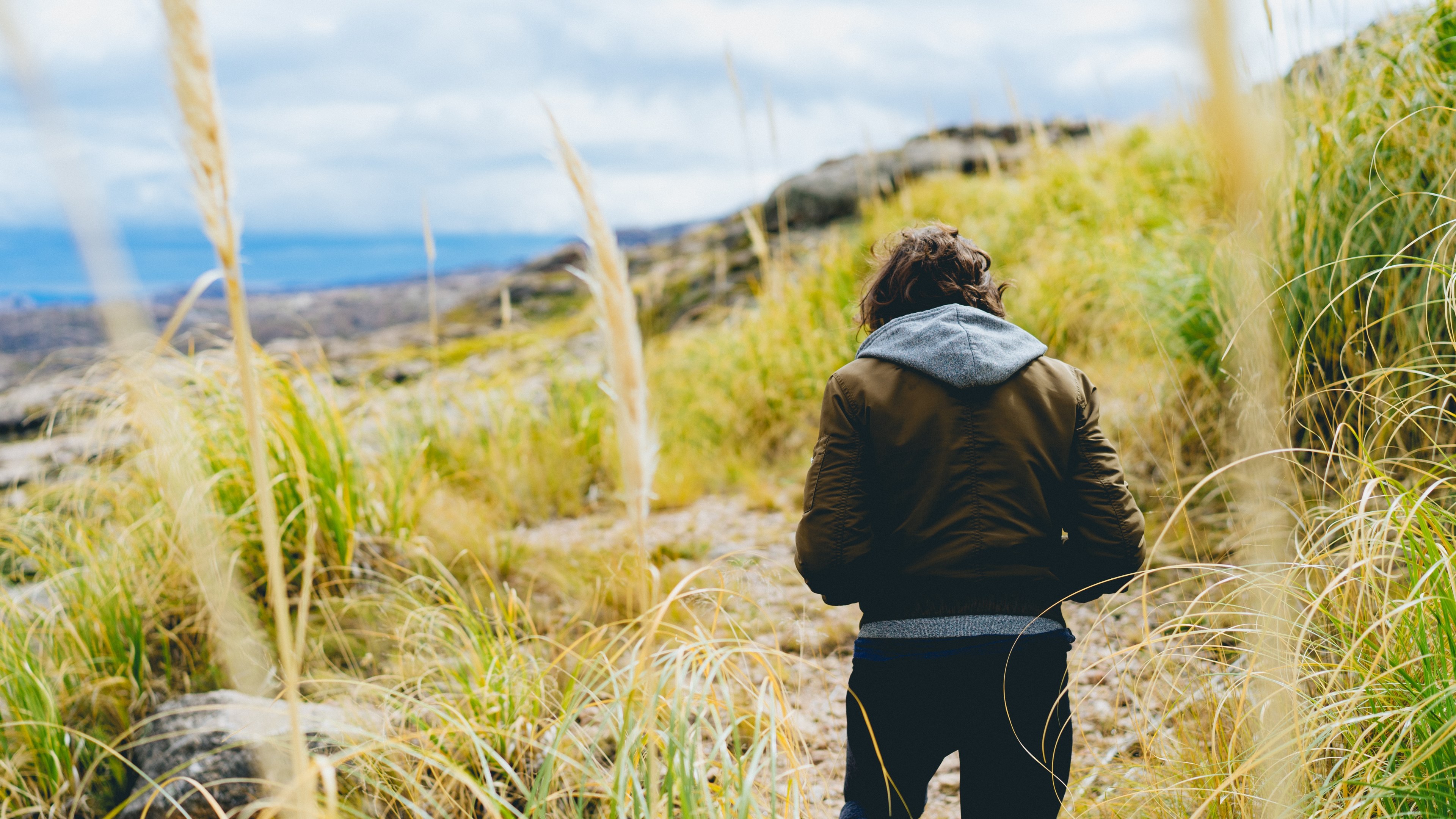 person in a brown leather jacket and gray hoodie in field of wheat beside the sea, person in wheat field by sea 4k, HD Wallpaper