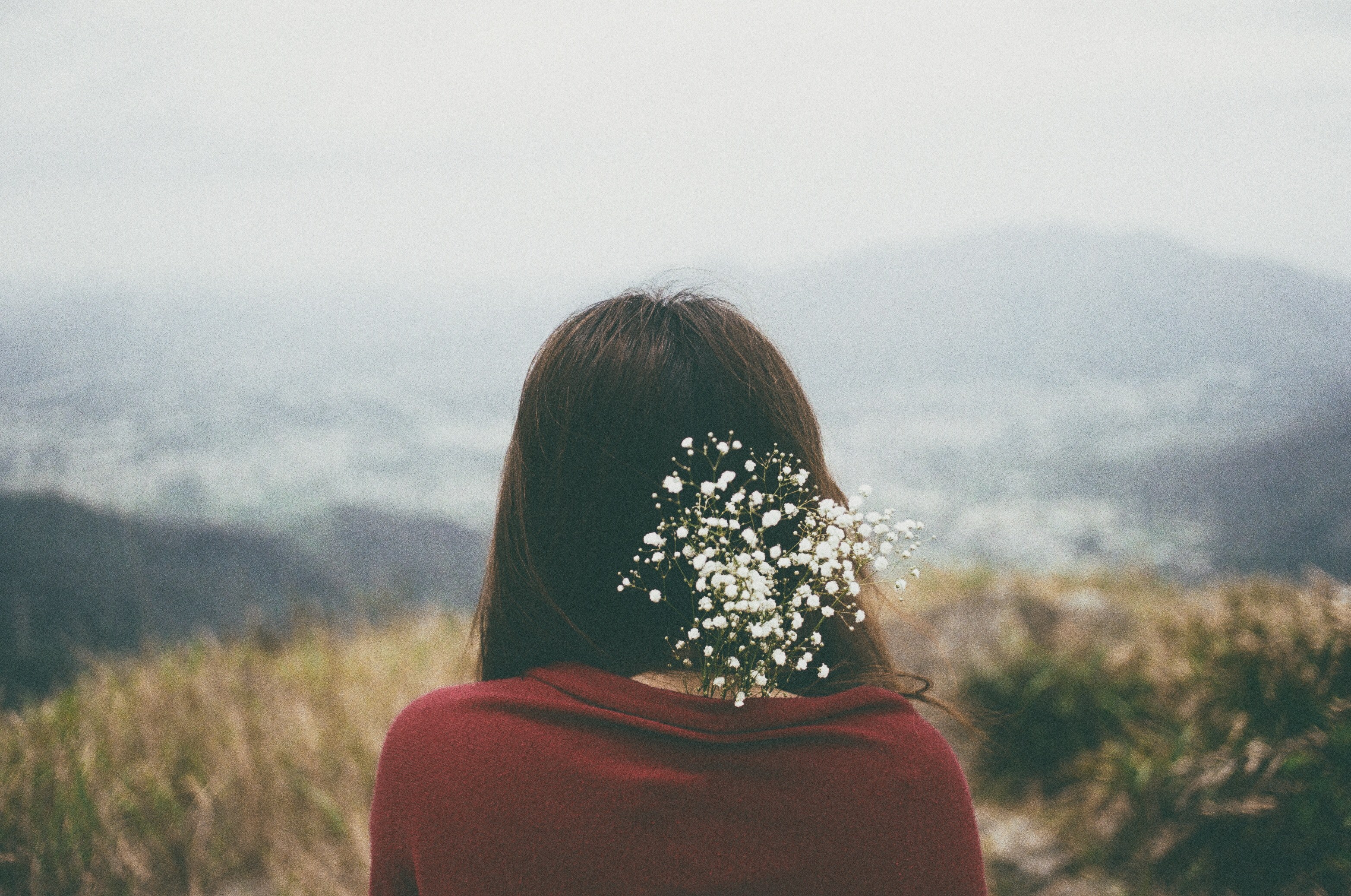 woman with babys breath flowers in her hair looking at a field, seen from the back 4k, HD Wallpaper