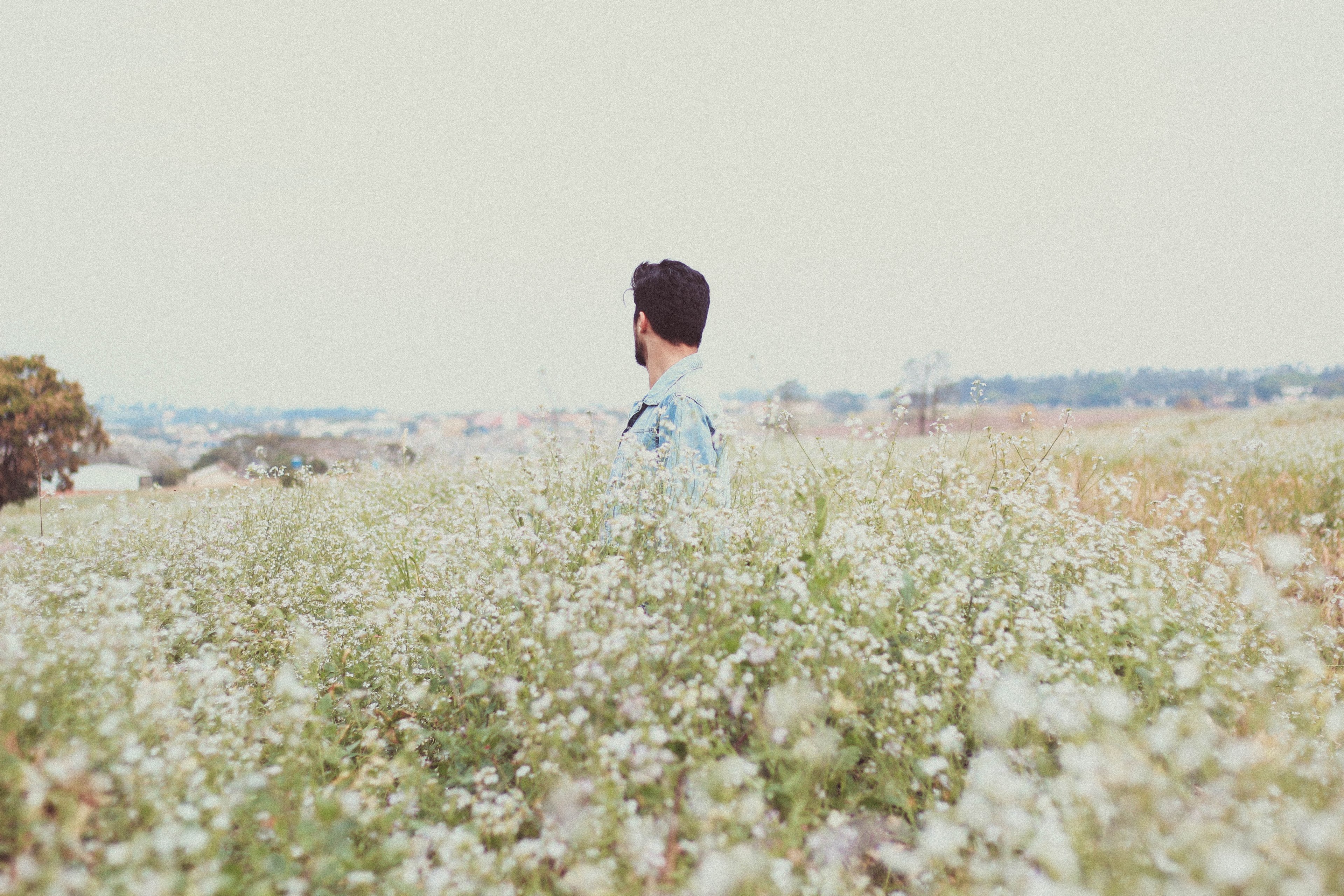 brasil brazil vsco and hipster 4k, HD Wallpaper