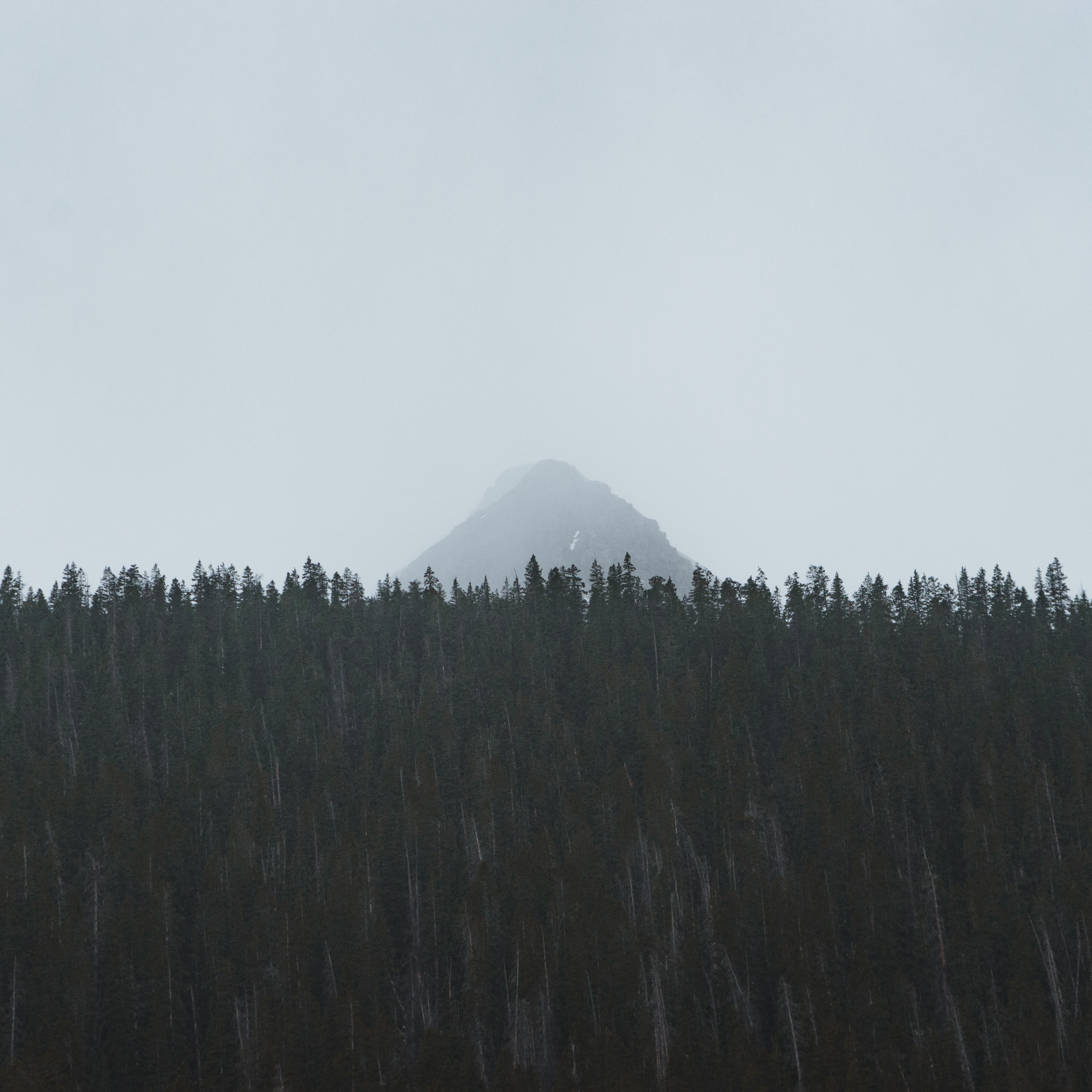 a tall mountain peak shrouded in fog behind a dark forest, tall mountain behind the woods 4k, HD Wallpaper
