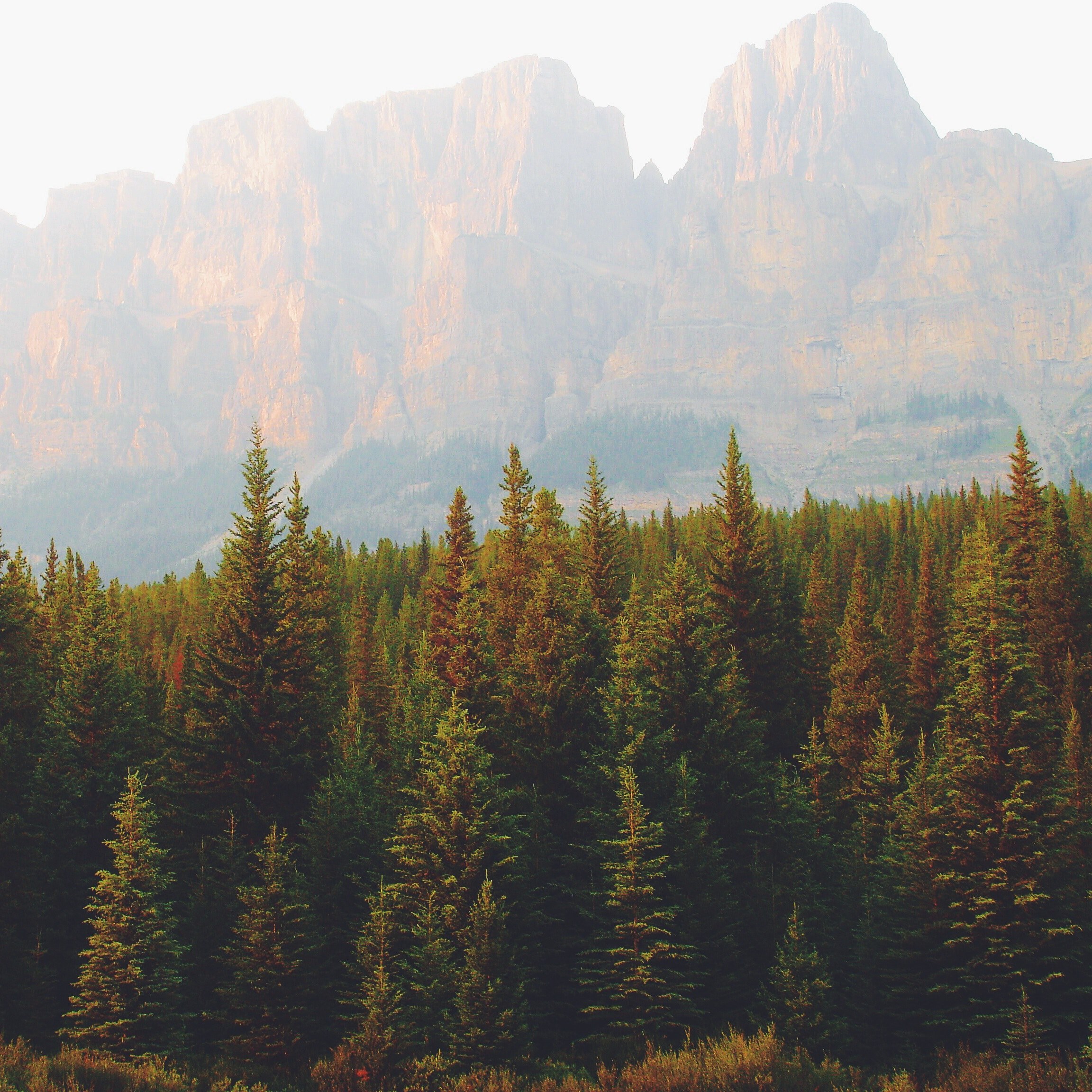 granite mountains behind a haze over evergreen woods, hazy granite mountains 4k, HD Wallpaper