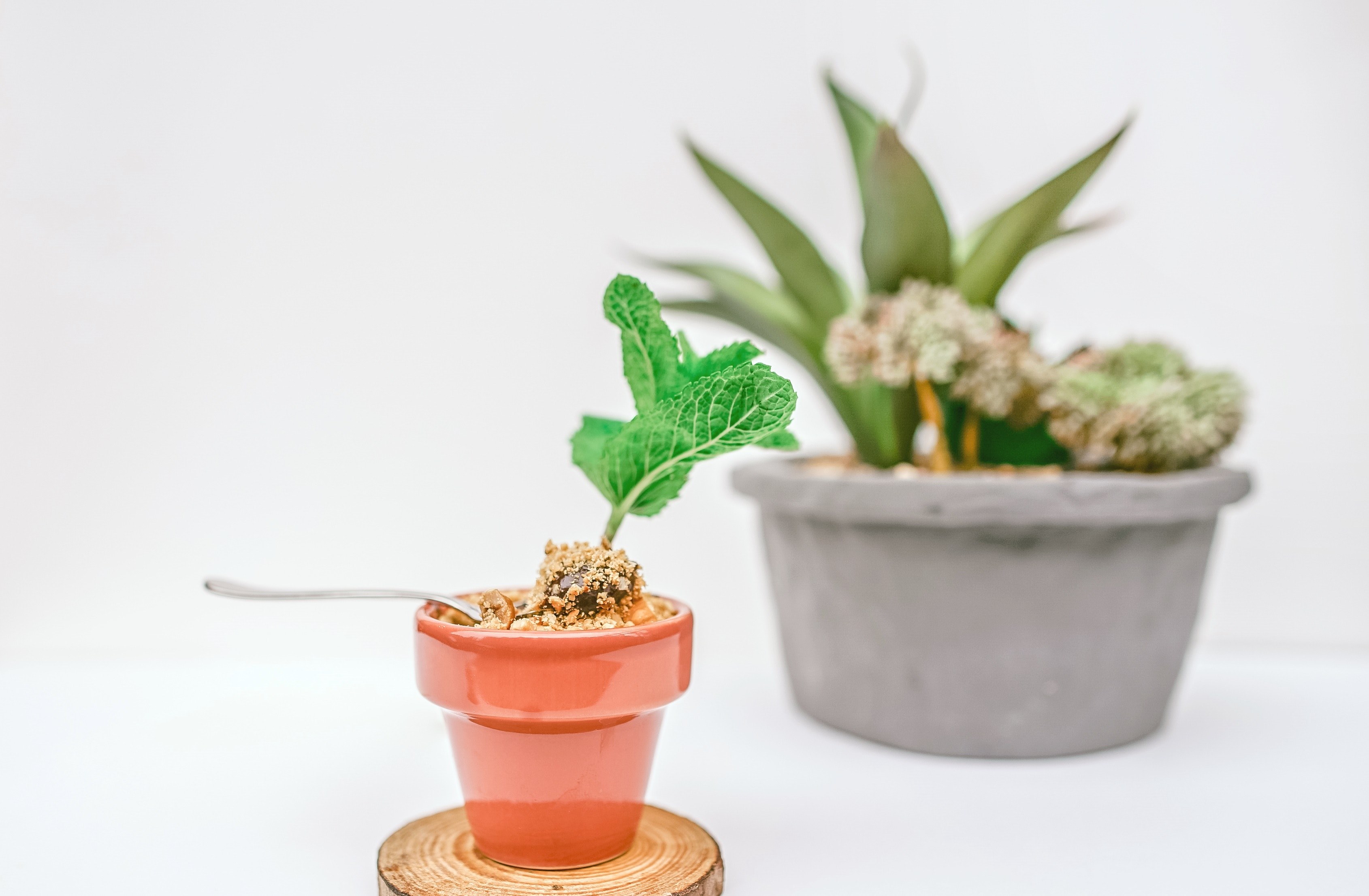 chocolate dessert in a flower pot with mint, hot thick chocolate 4k, HD Wallpaper