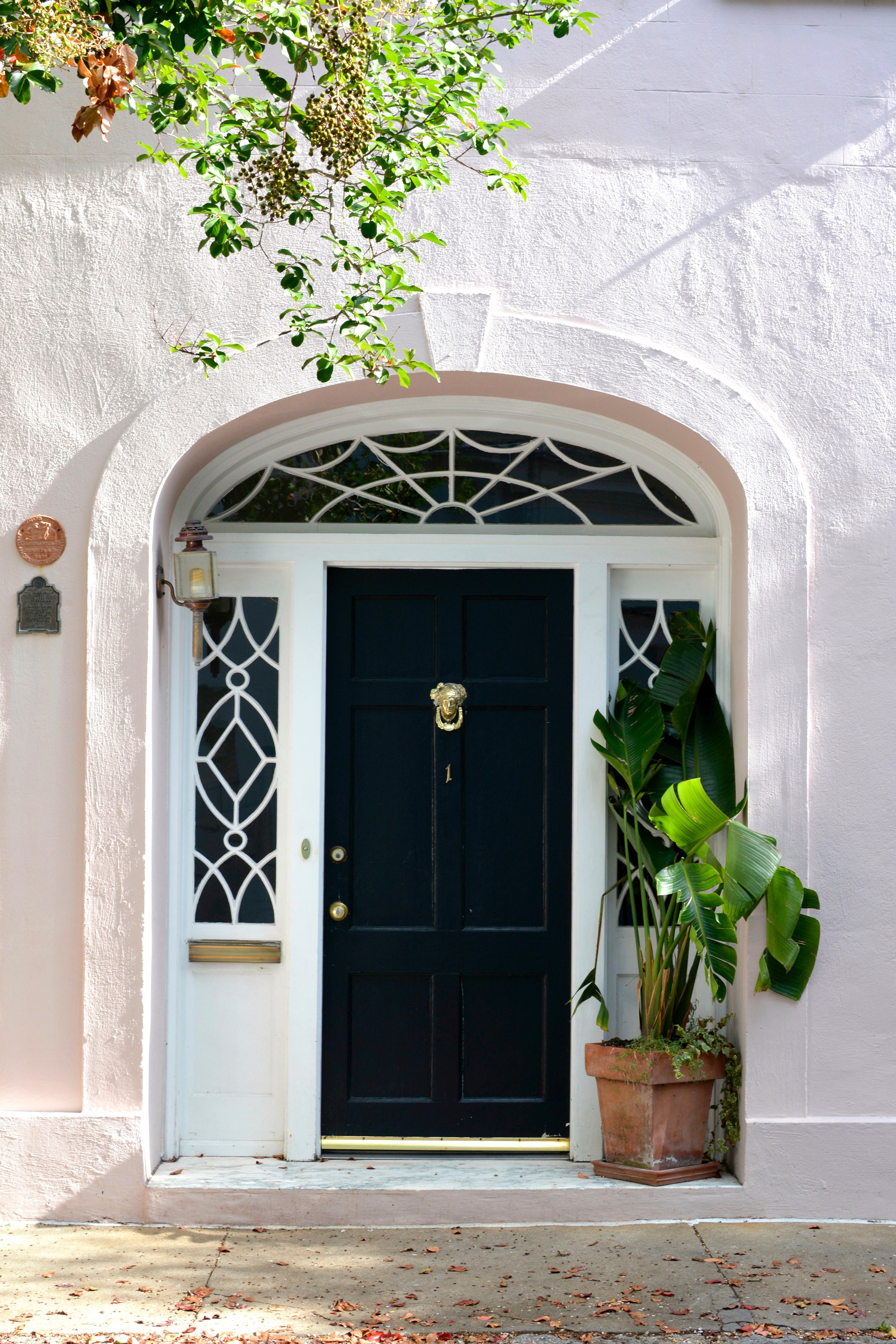 door doorway facade and plant hd, 4k, Phone HD Wallpaper