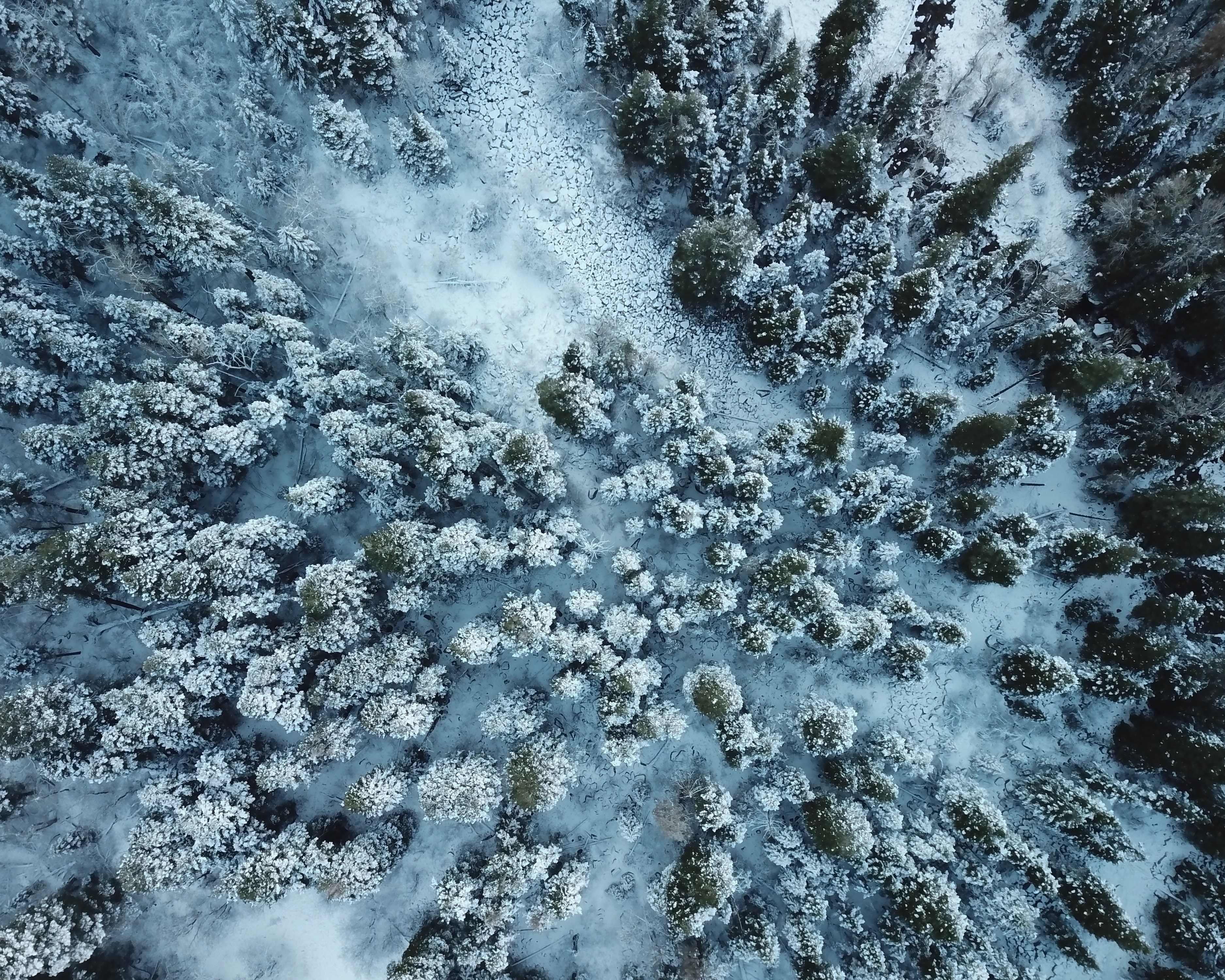 lost in the wilderness 4k, HD Wallpaper