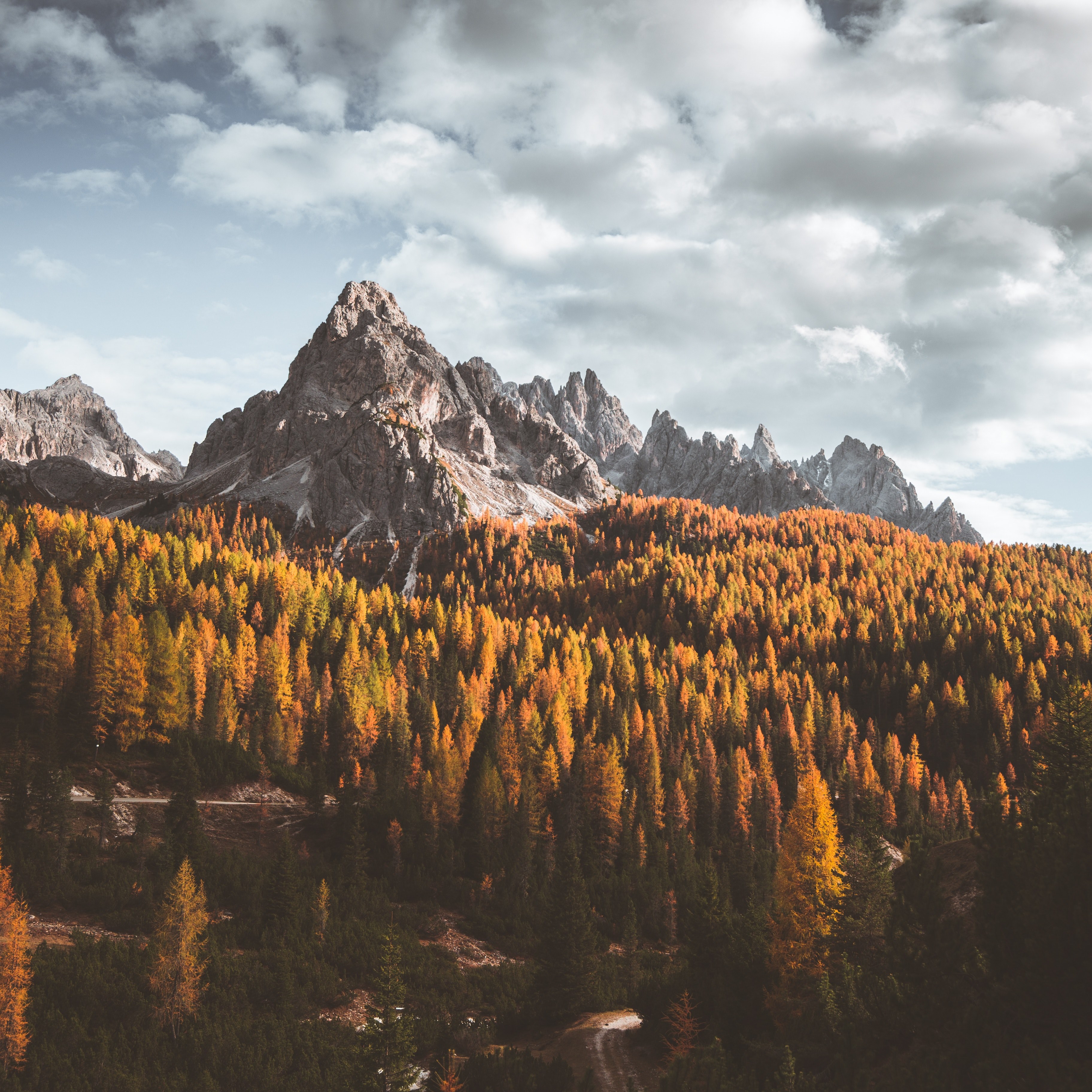 changing seasons 4k, HD Wallpaper