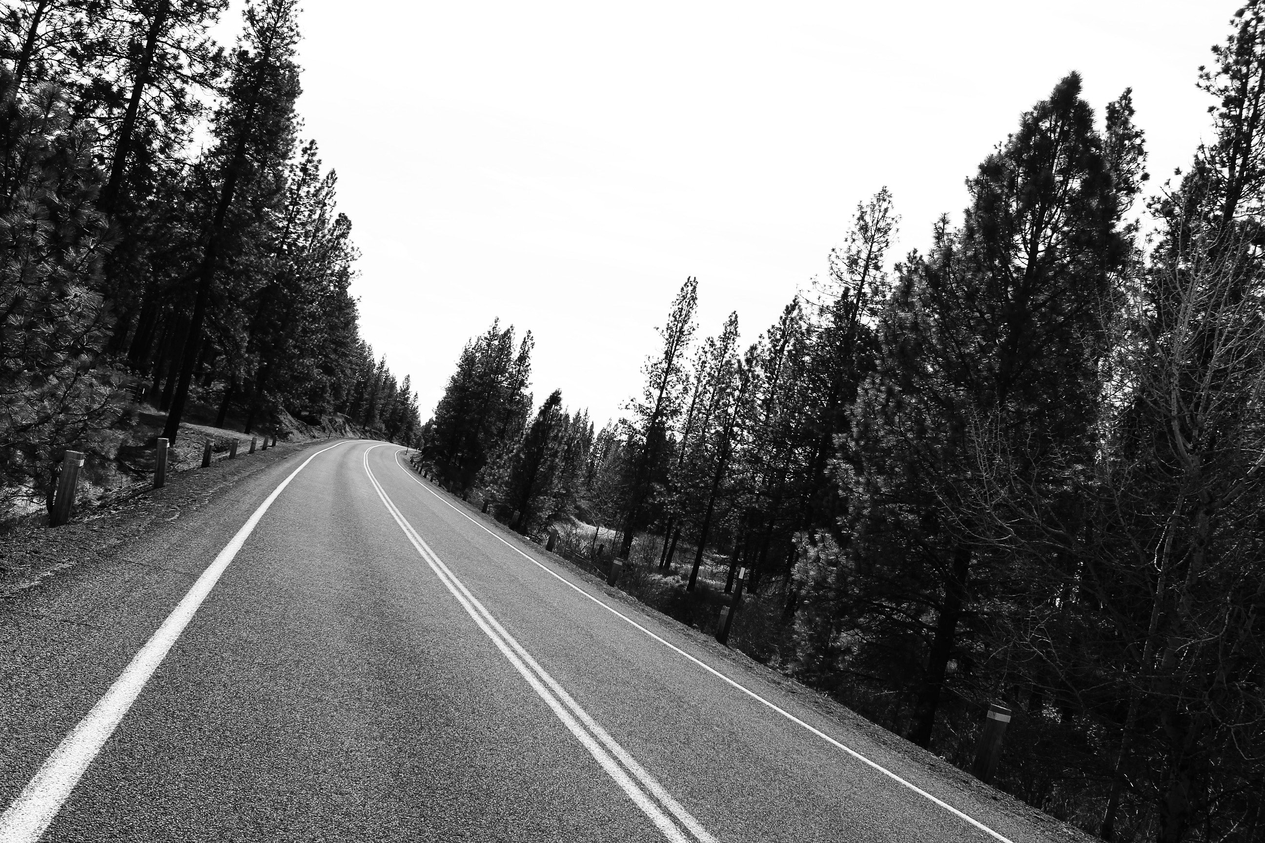 the road 4k, HD Wallpaper