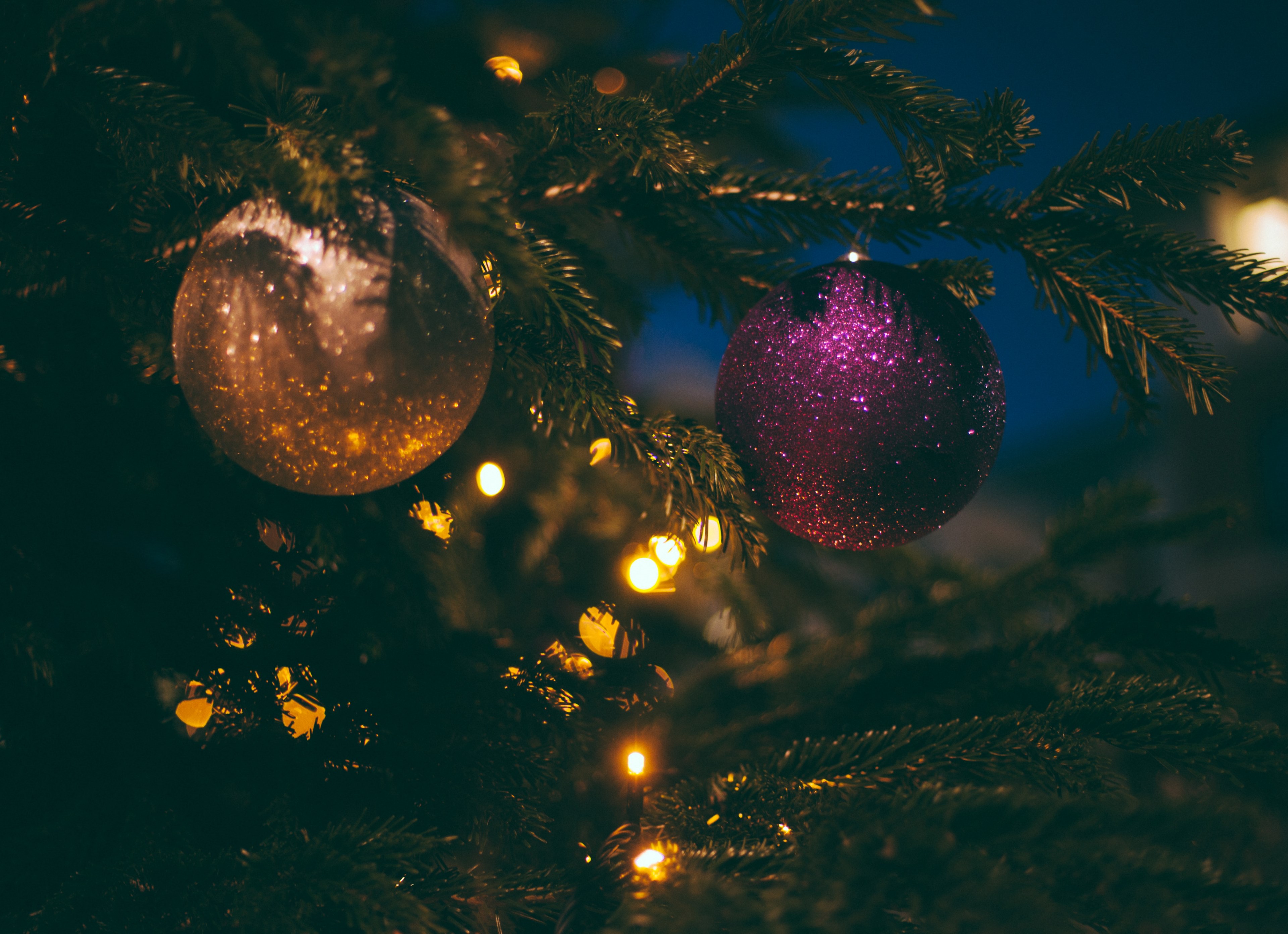 tis the season to be jolly 4k, HD Wallpaper