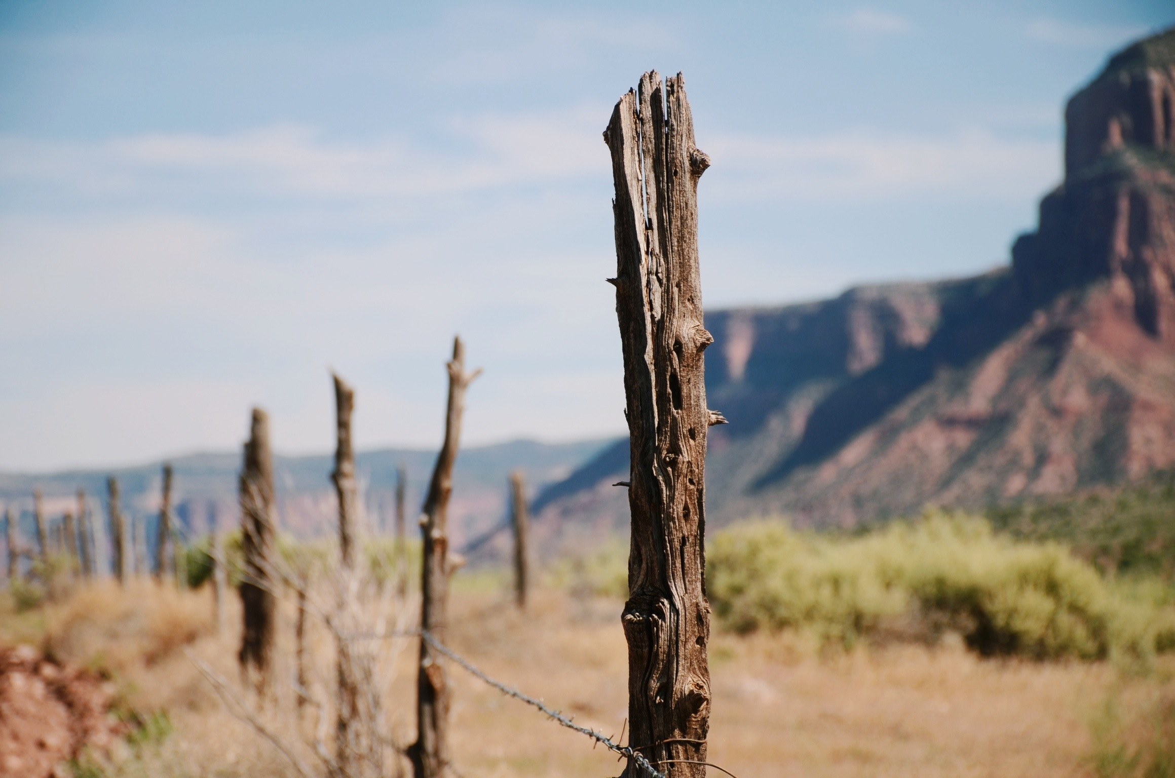 summer wild west and outdoor 4k, HD Wallpaper
