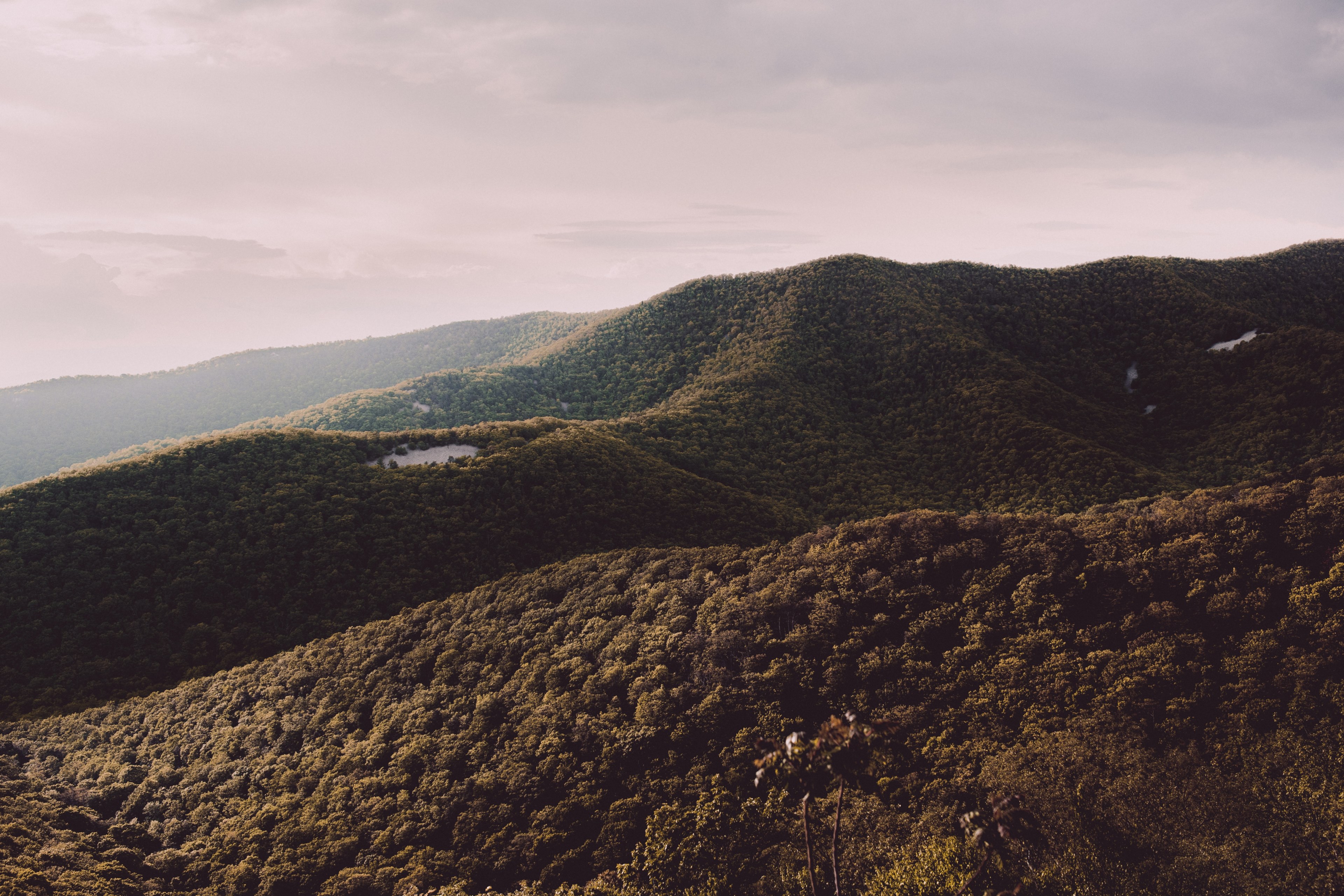 densely wooded hills in shenandoah national park, forested hills under clouds 4k, HD Wallpaper