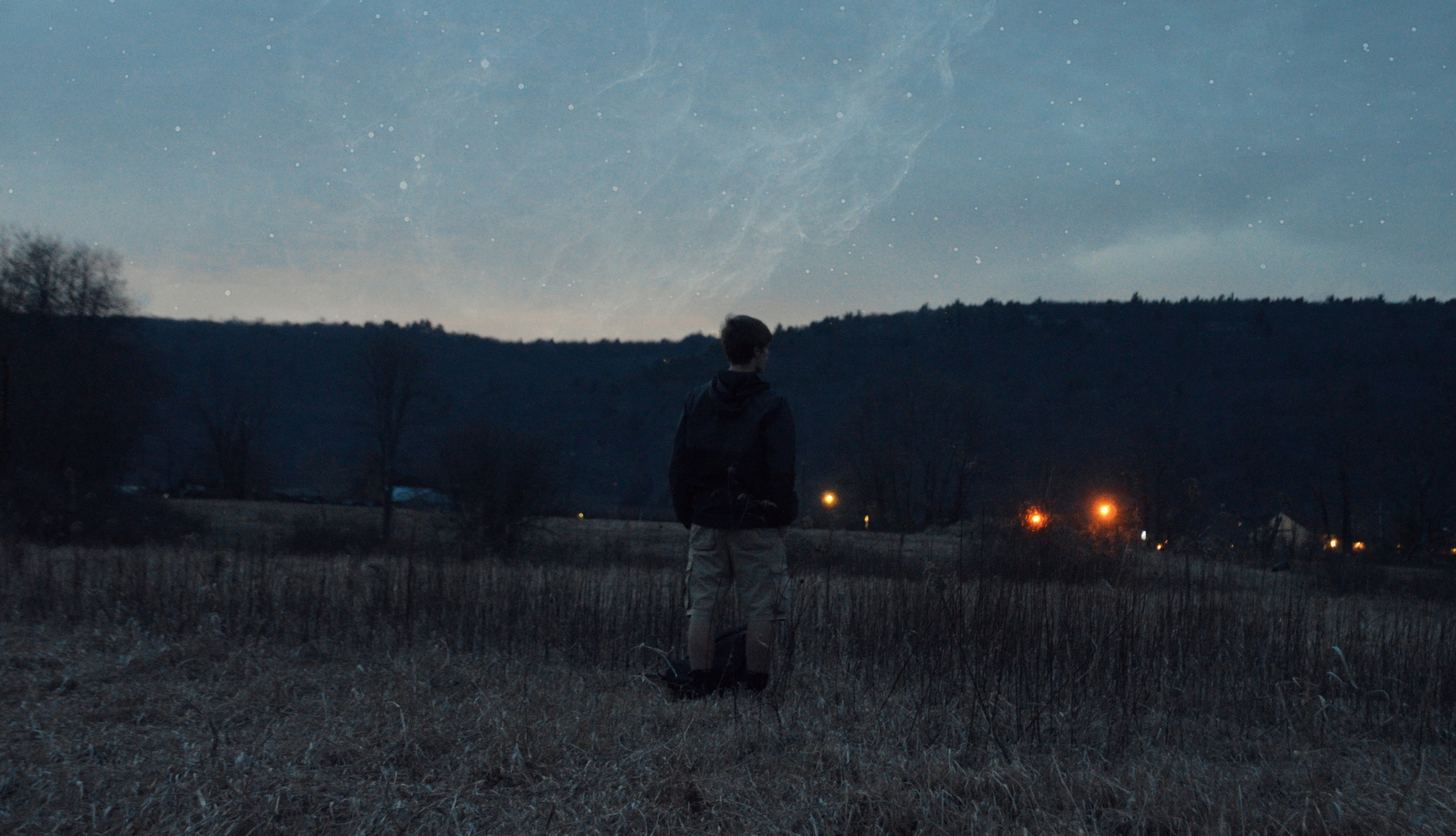 a man standing in dry grass under starry sky in the evening, alone in the field past dusk 4k, HD Wallpaper