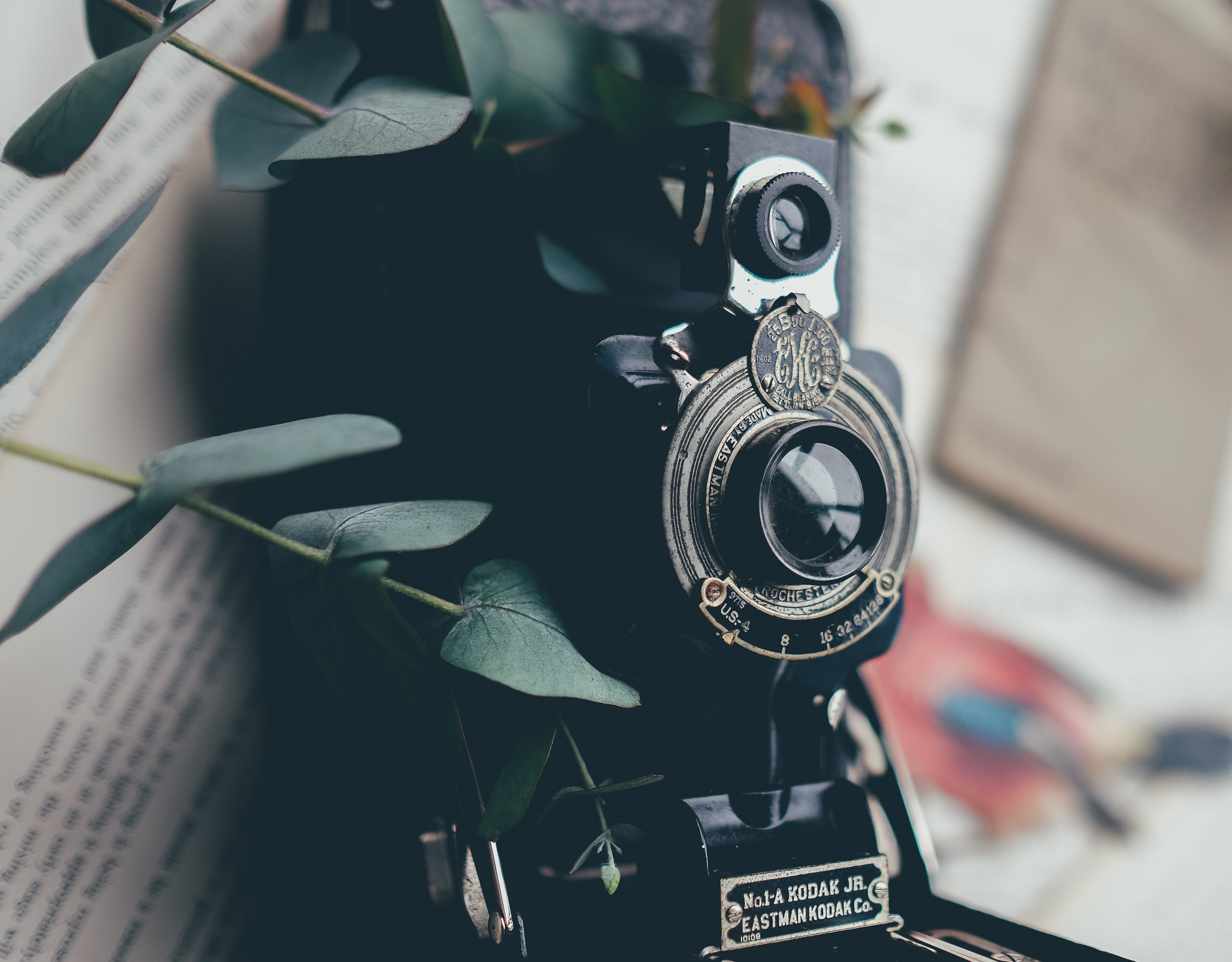 a vintage kodak camera surrounded by leaves resting on a book, vintage 4k, HD Wallpaper