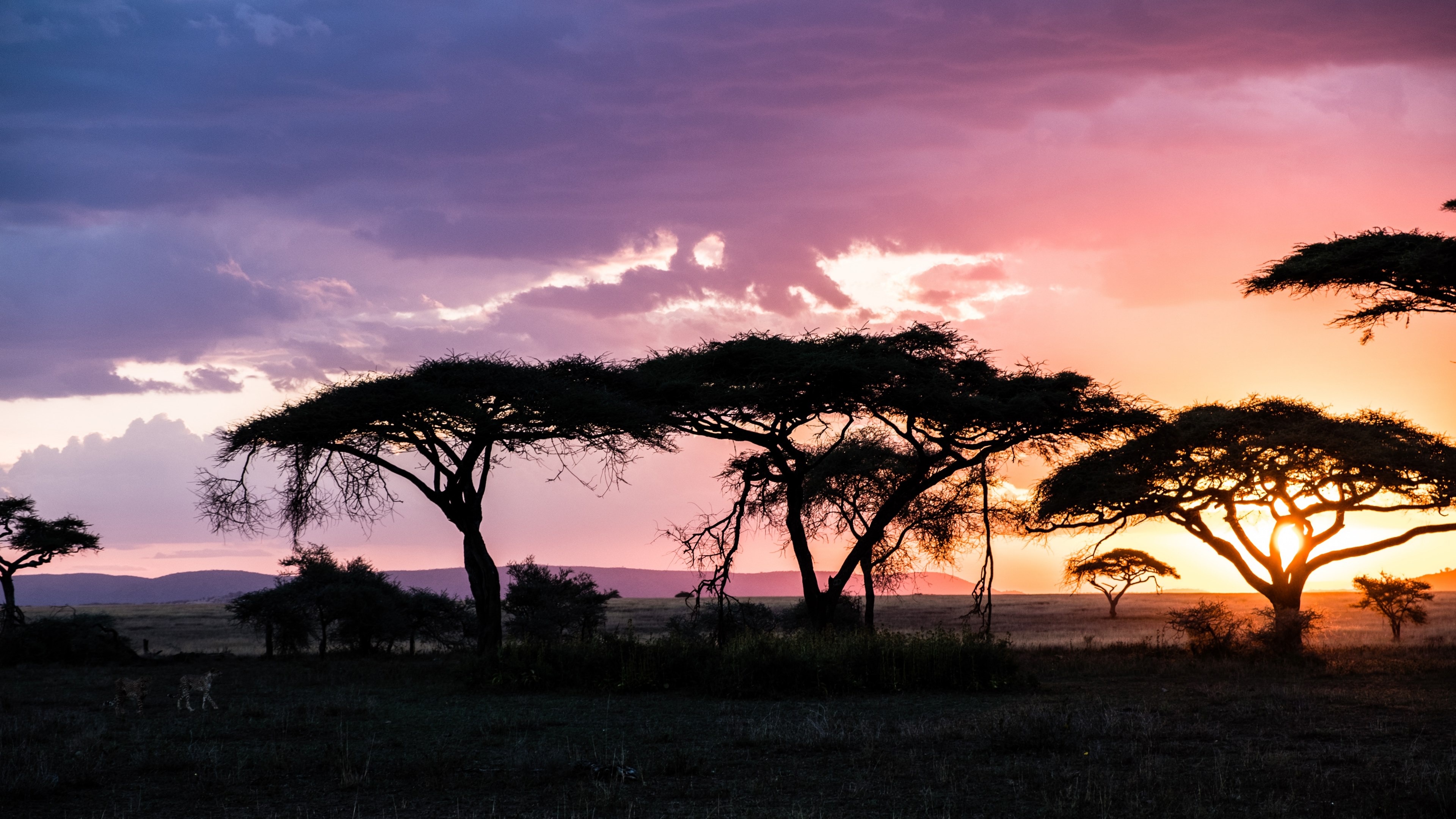 gradient sunset_ 4k, HD Wallpaper