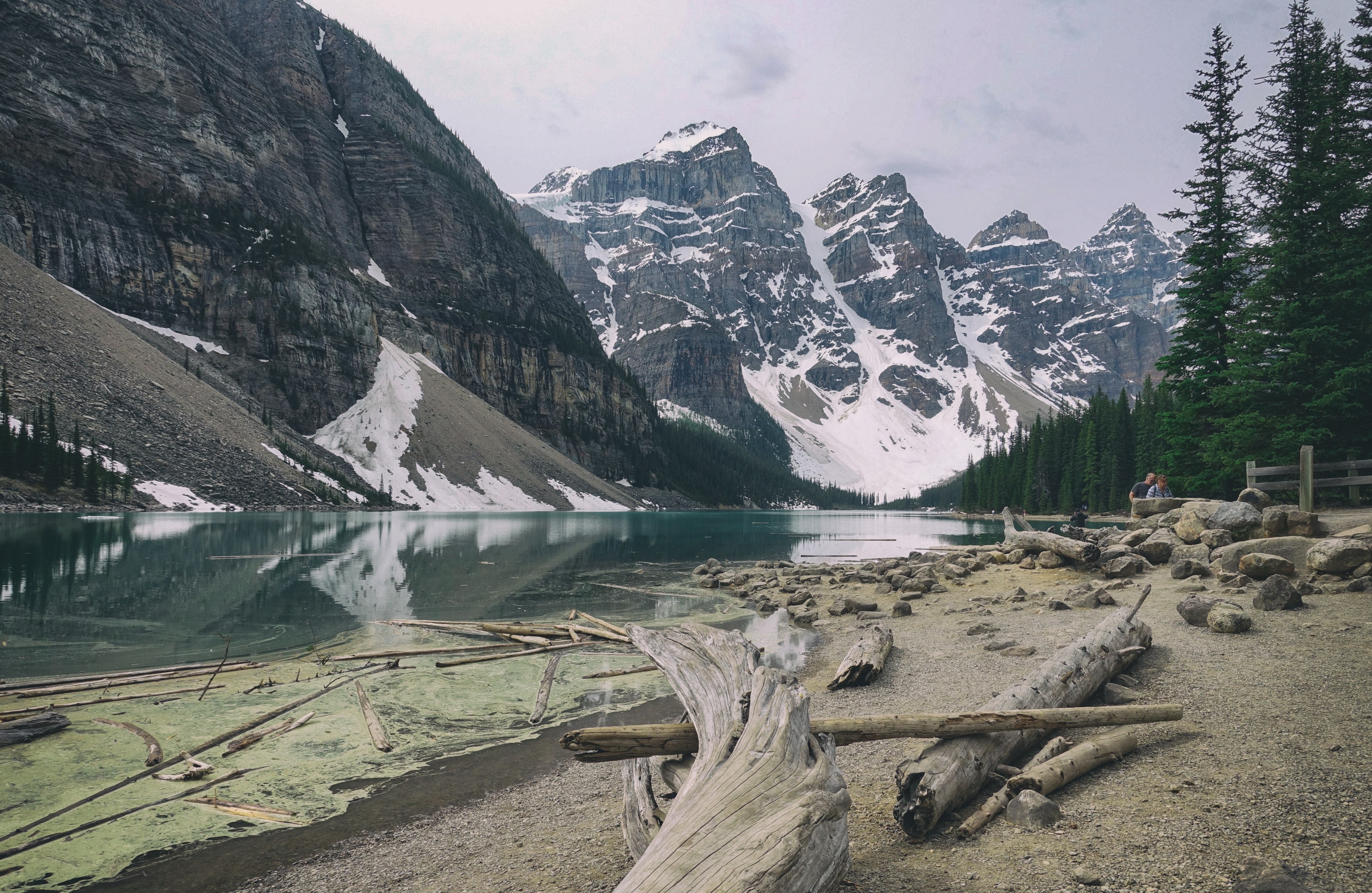 driftwood on the shore of an azure mountain lake, peaceful mountain lake 4k, HD Wallpaper
