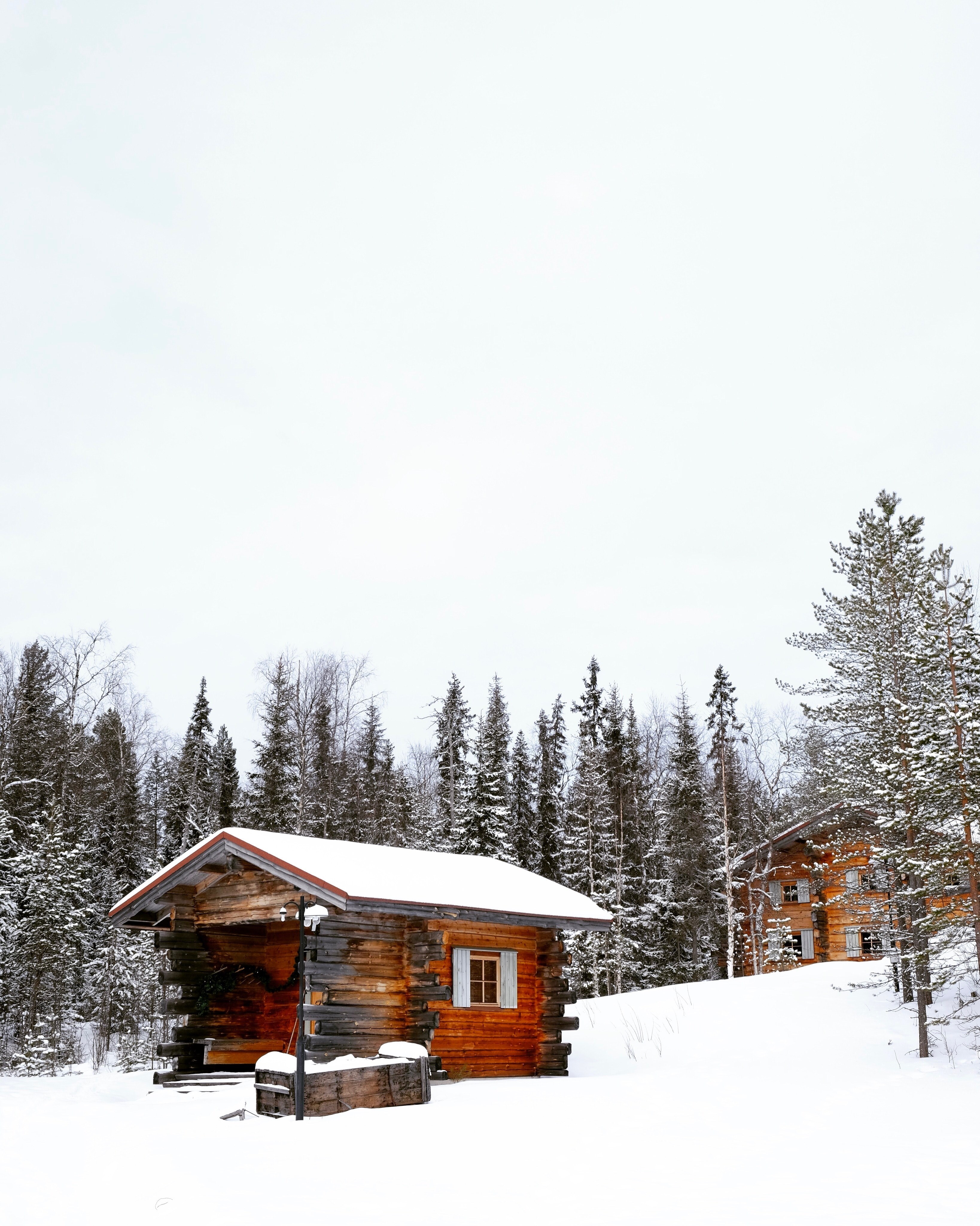 a wooden cabin sitting on a mountain in rovaniemi finland, cabin in the woods 4k, Phone HD Wallpaper