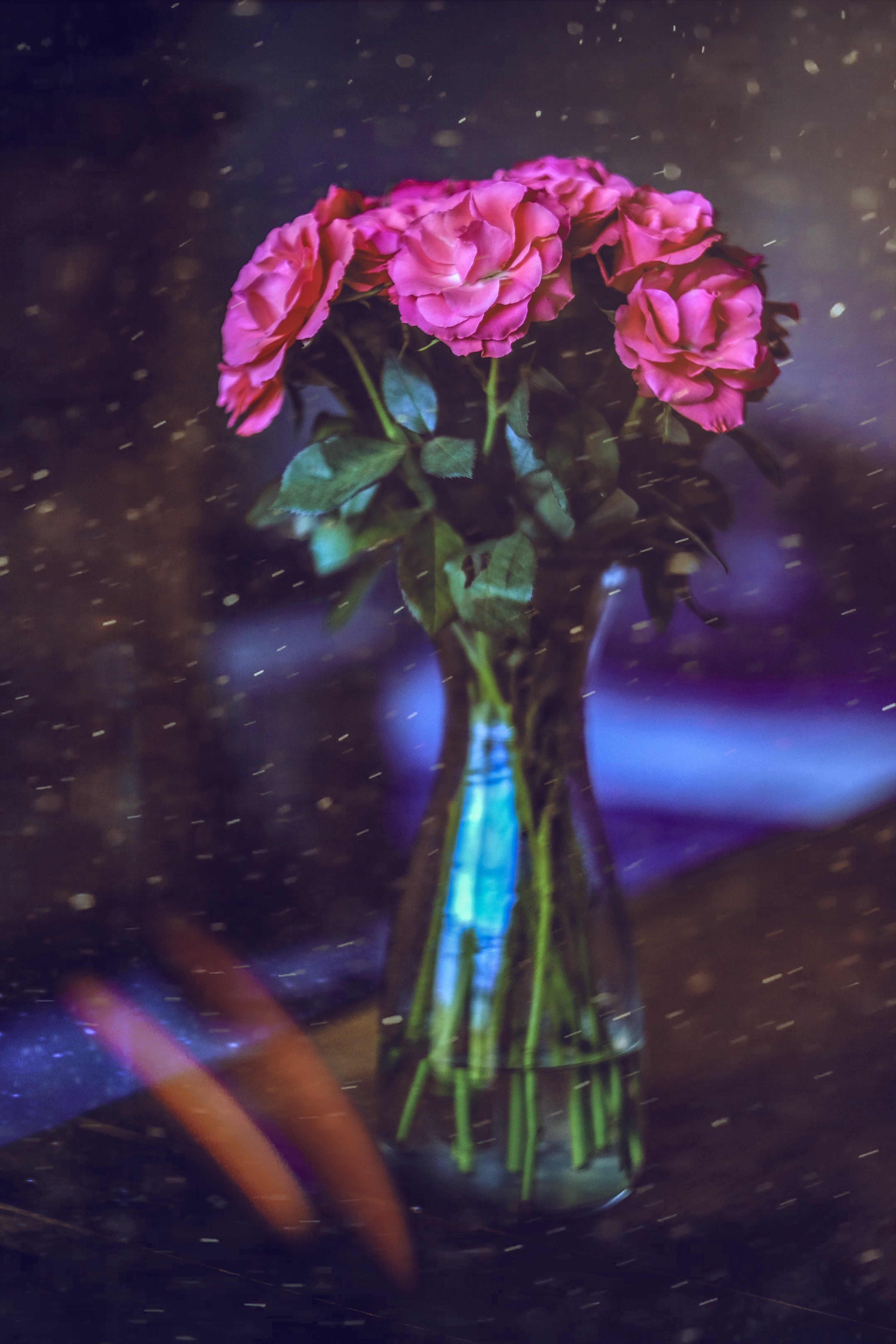 roses 4k, Phone HD Wallpaper