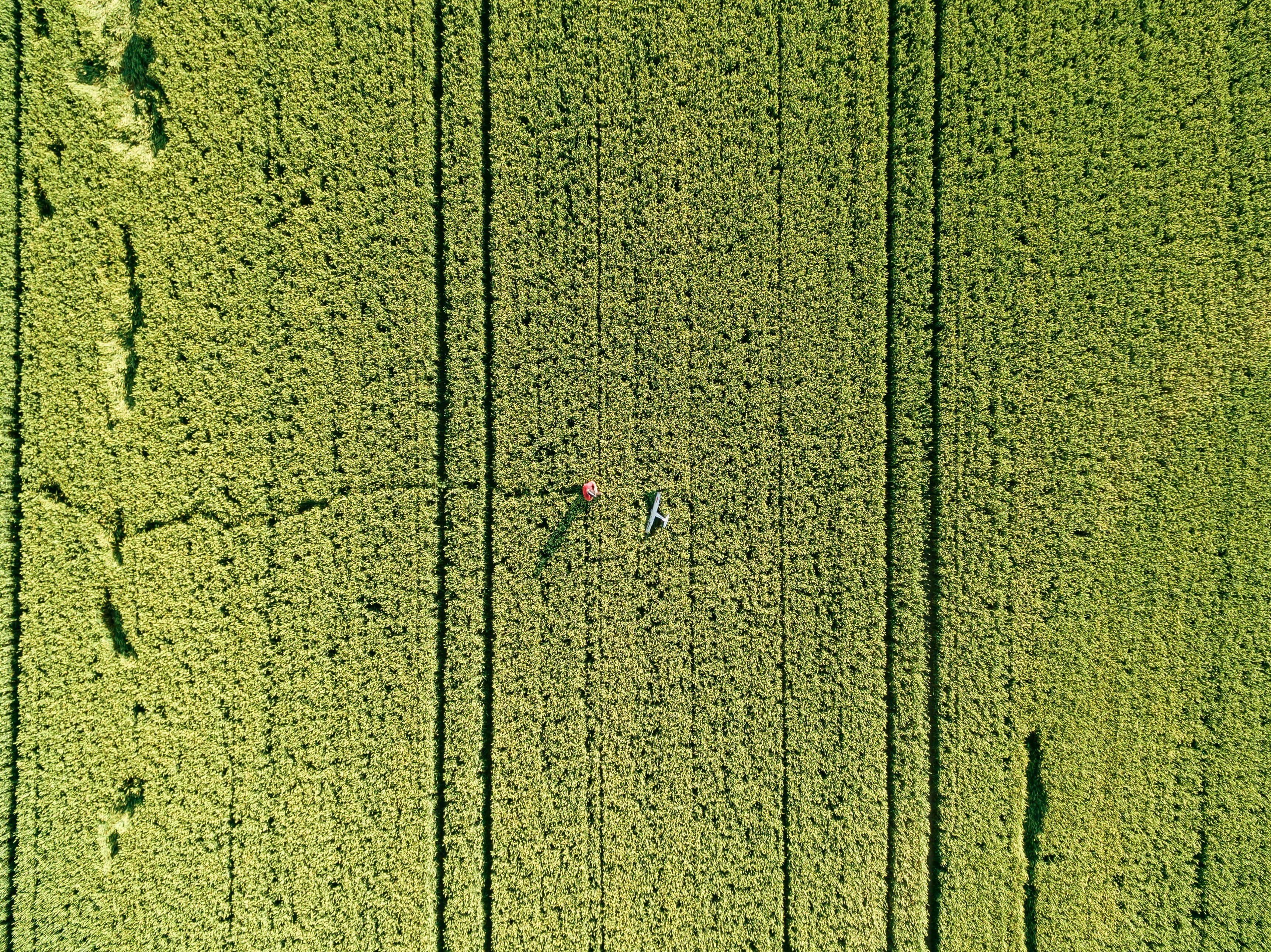 drone view aerial view agriculture and field 4k, HD Wallpaper