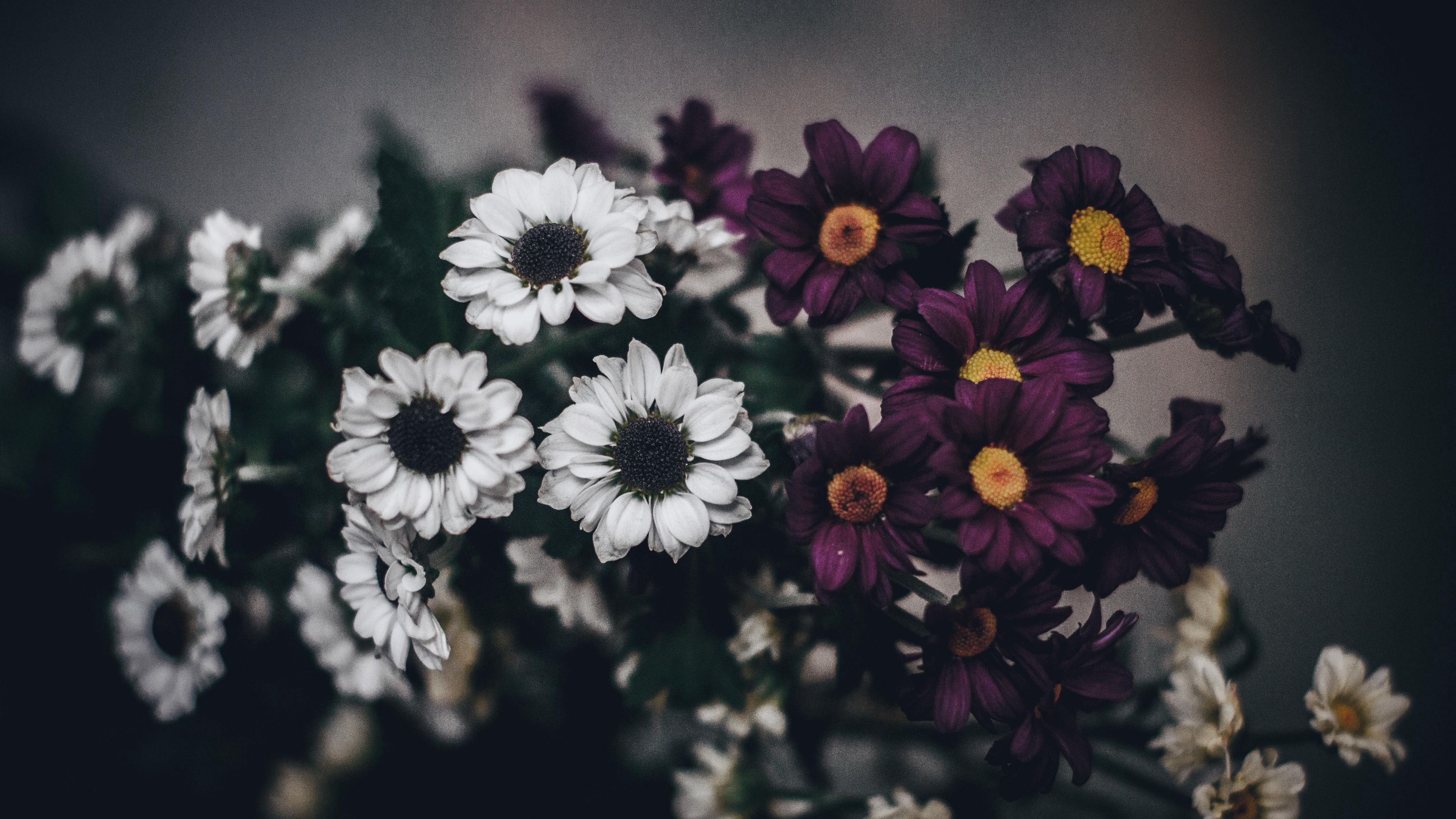 flowers, bouquet, composition, 4k, HD Wallpaper