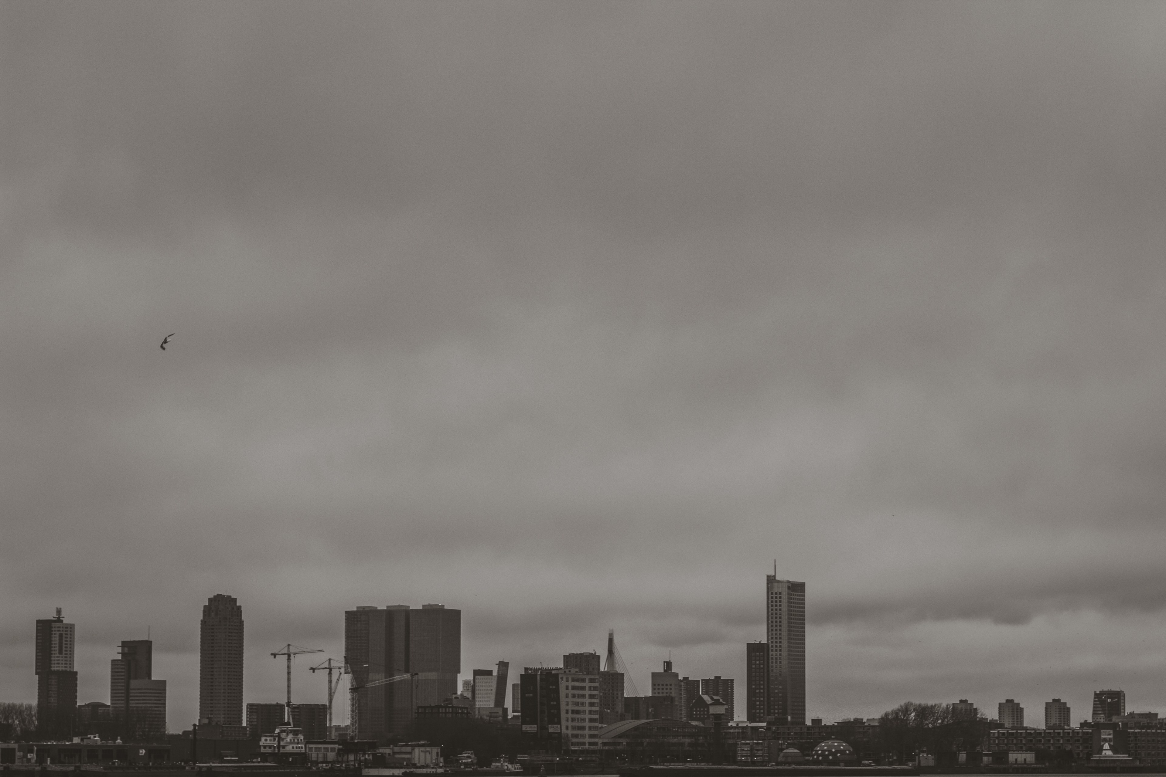 the rotterdam skyline_ 4k, HD Wallpaper