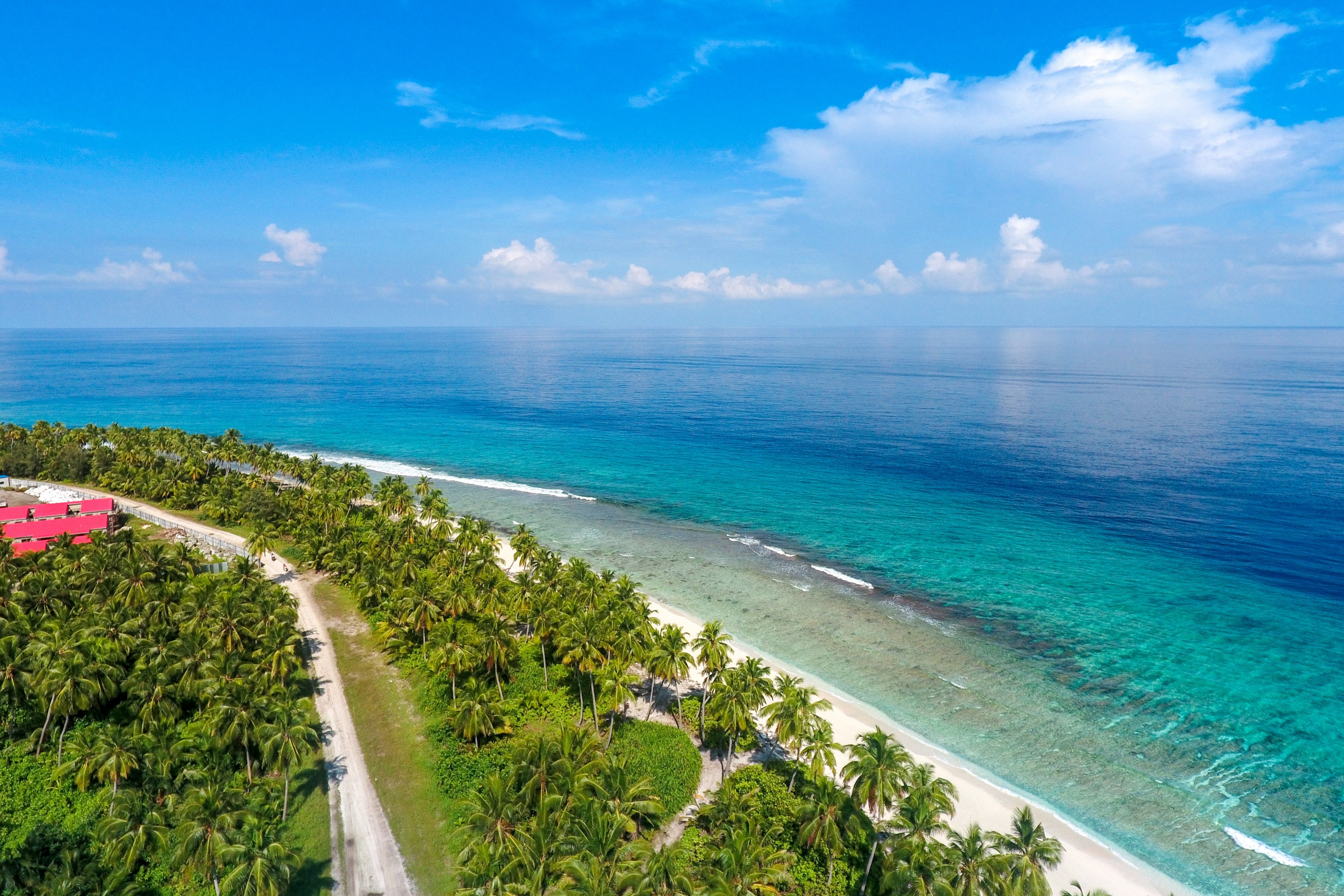 a high shot of an empty palm fringed beach stretching along the blue ocean on a sunny day, empty sun drenched beach 4k, HD Wallpaper