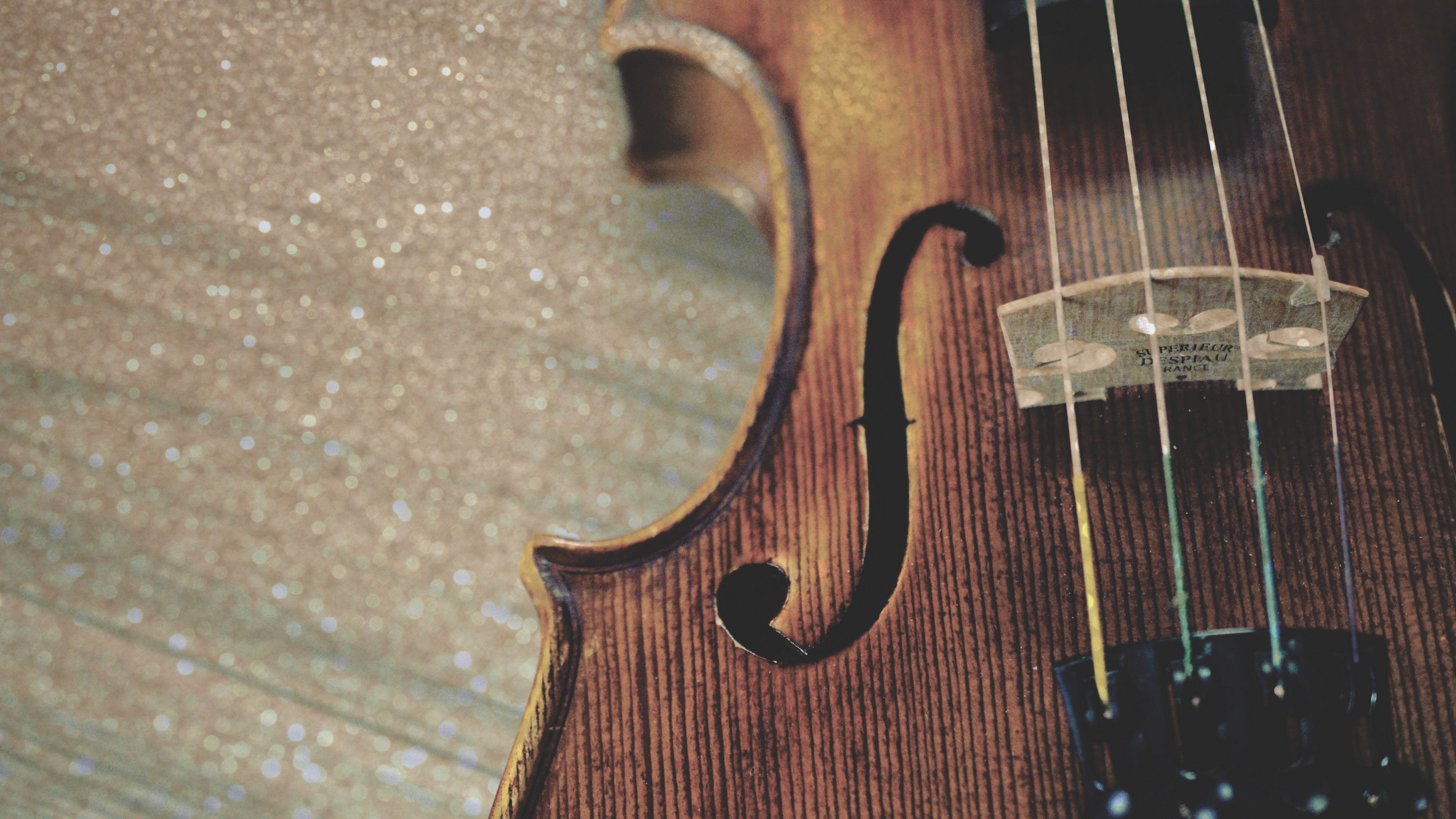 violin, strings, wooden, 4k, HD Wallpaper