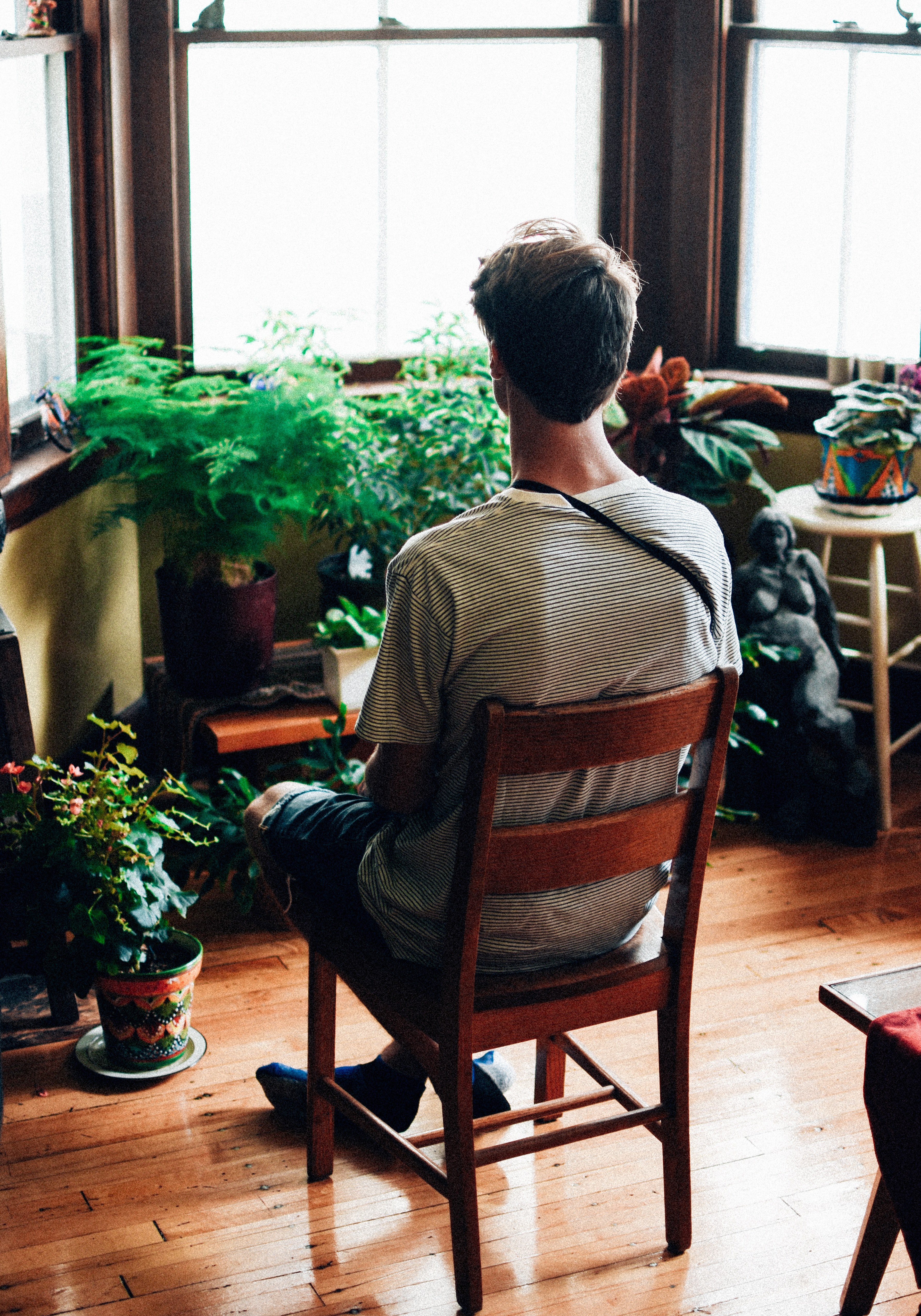 person person sits with back to camera staring at house plants, admiring the house plants 4k, Phone HD Wallpaper