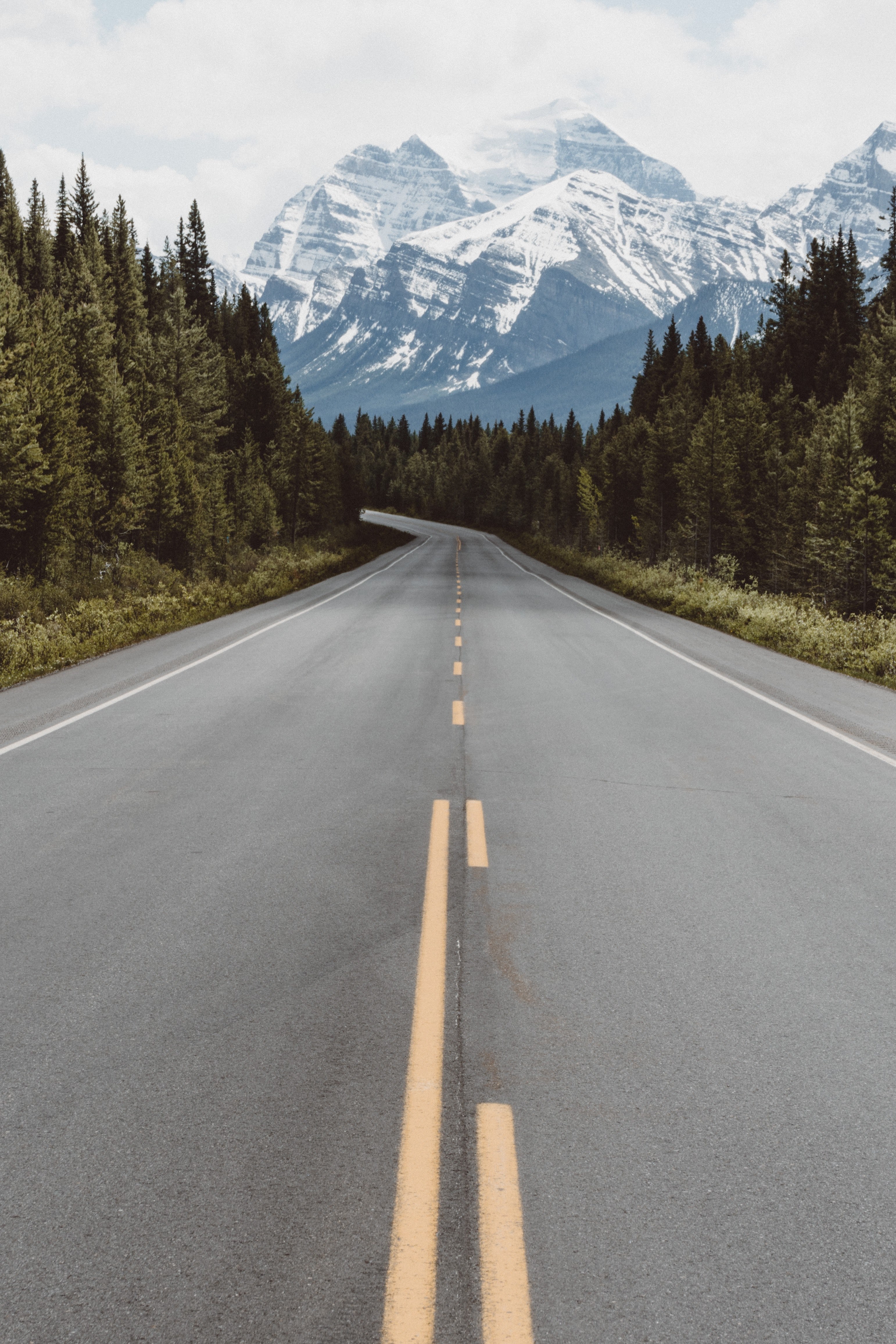 an tree lined asphalt road with snow capped mountains in the distance, snow covered mountains over an empty road 4k, Phone HD Wallpaper