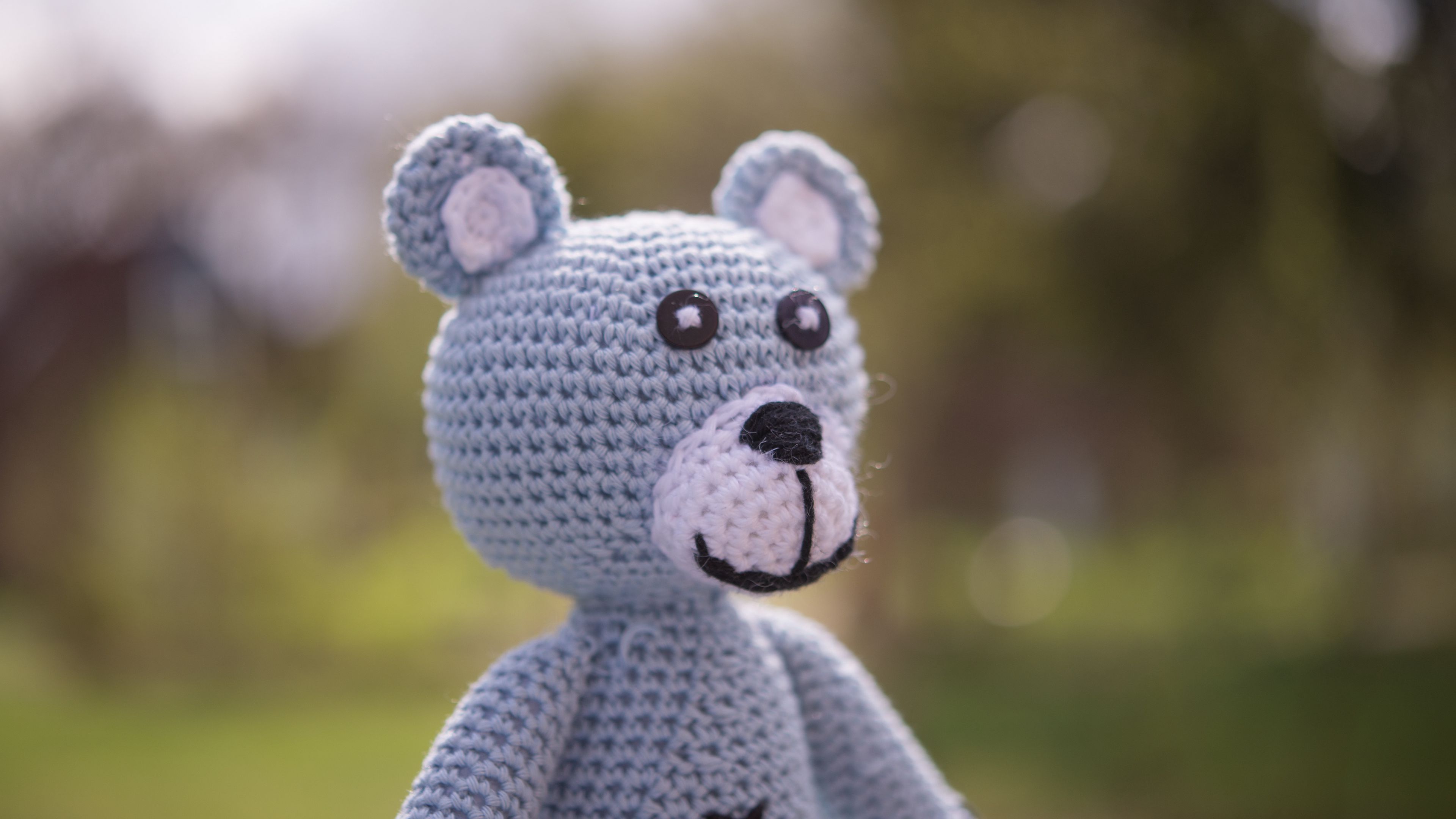 bear, toy, knitted, 4k, HD Wallpaper