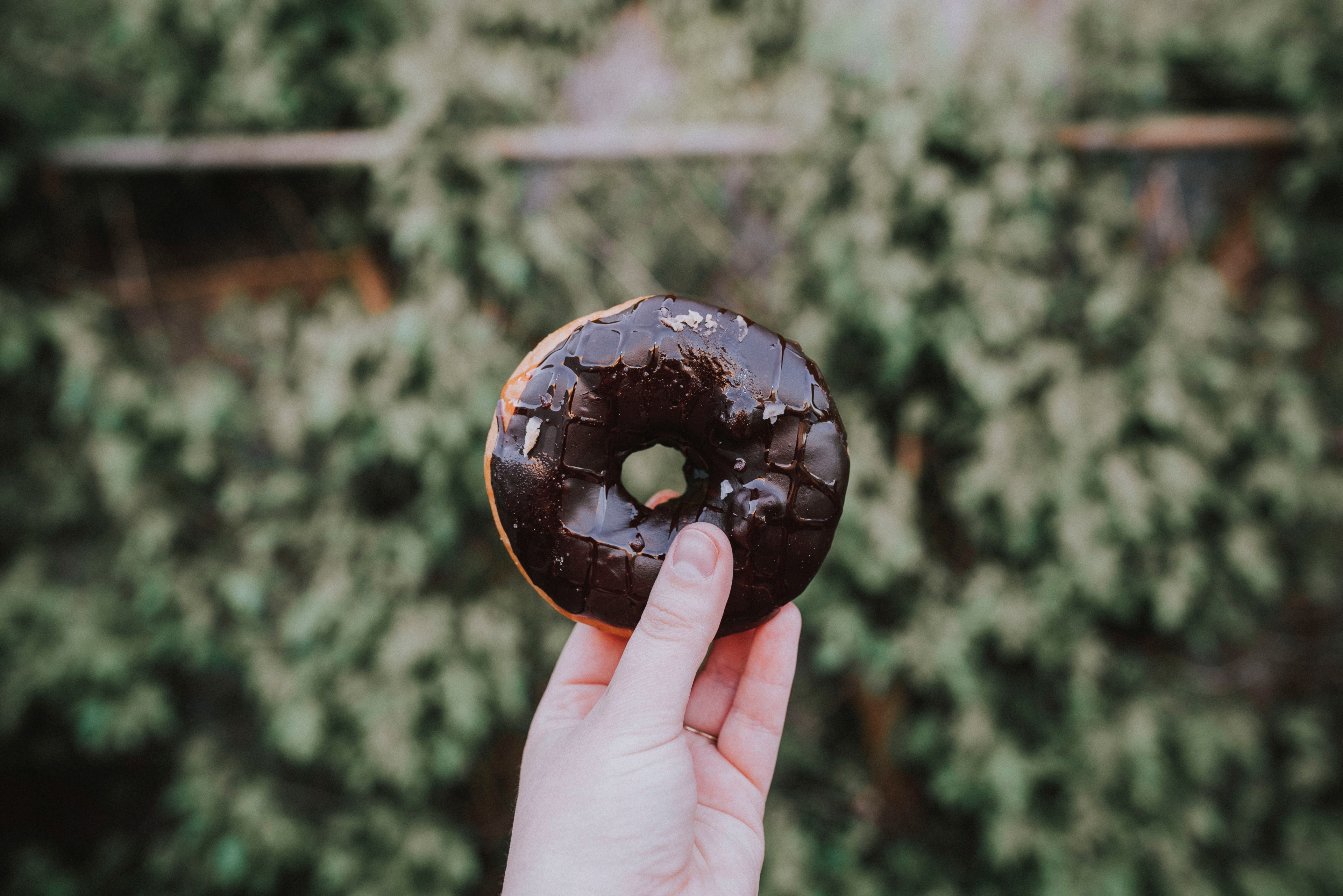 vegan donut 4k, HD Wallpaper