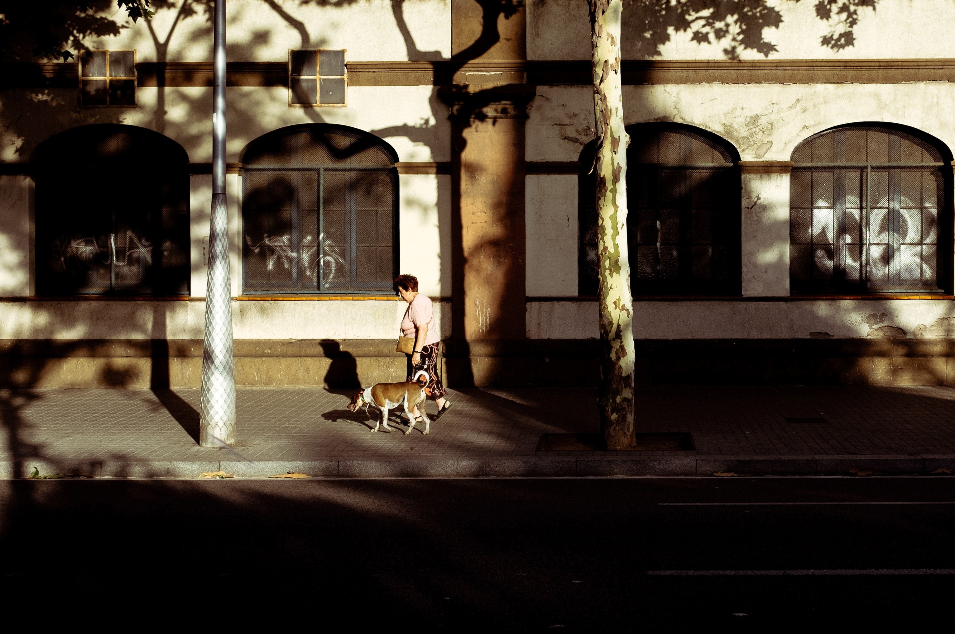 a woman walking her dog on an empty sidewalk in a city, woman with a dog on a sidewalk 4k, HD Wallpaper