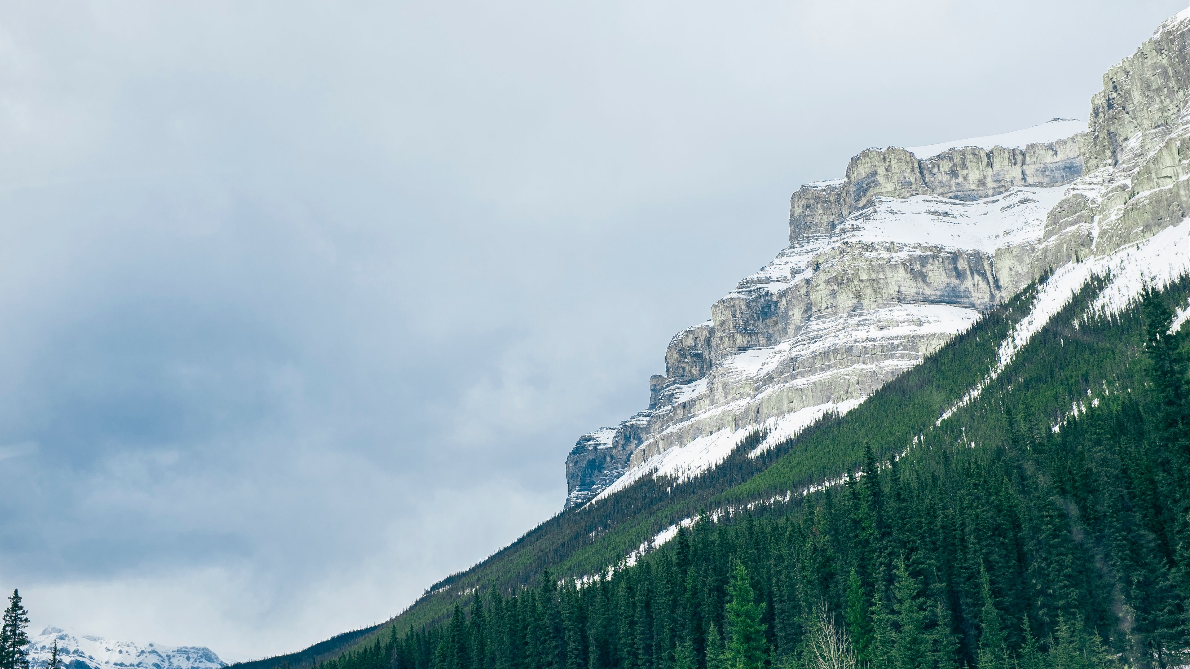 mountains, trees, snow, top, 4k, HD Wallpaper