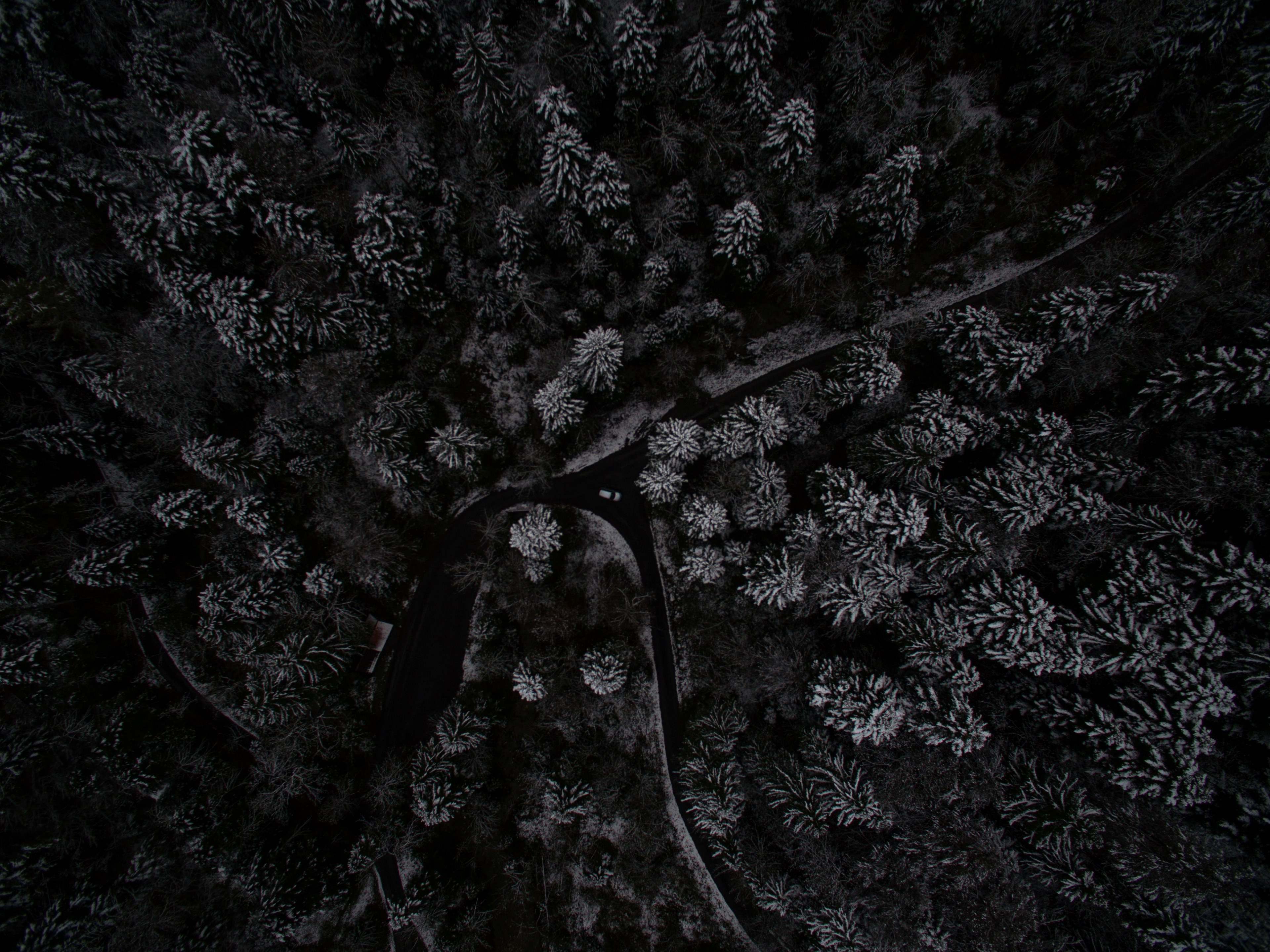 winter composing 4k, HD Wallpaper