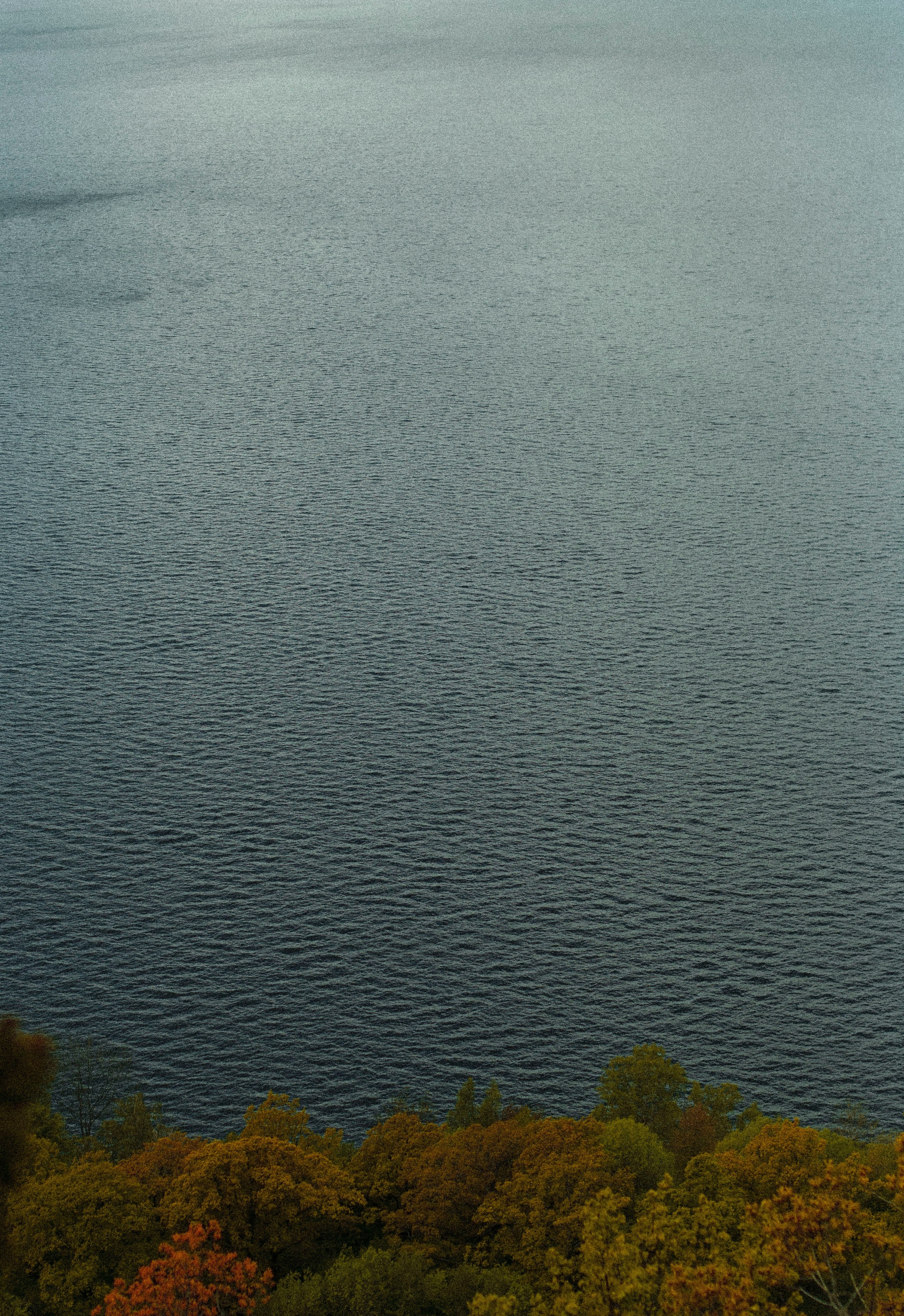 a high angle shot of the choppy surface of a lake with autumn trees on the shore, calm before the storm 4k, Phone HD Wallpaper