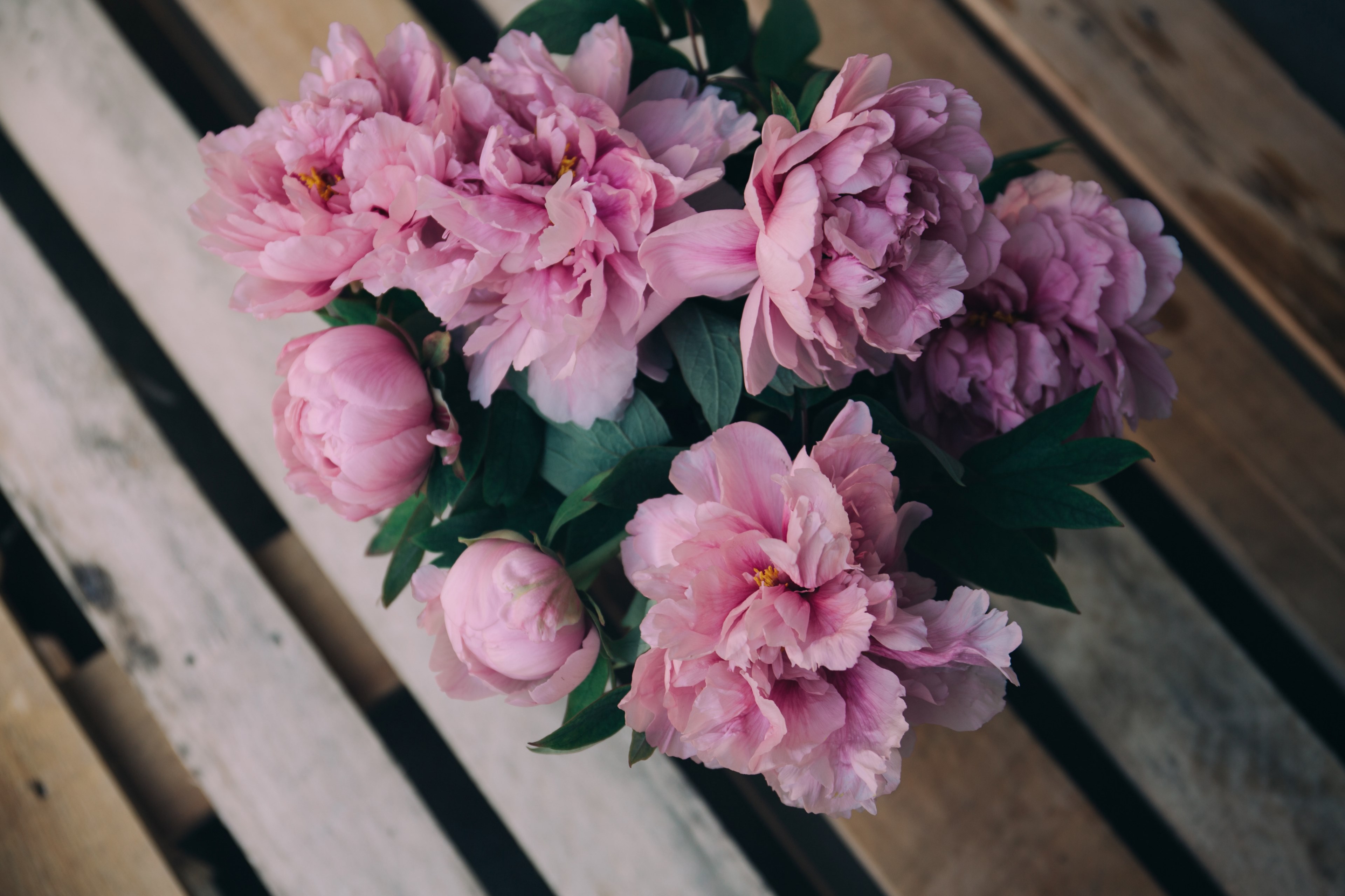 flower pink floral and spring 4k, HD Wallpaper